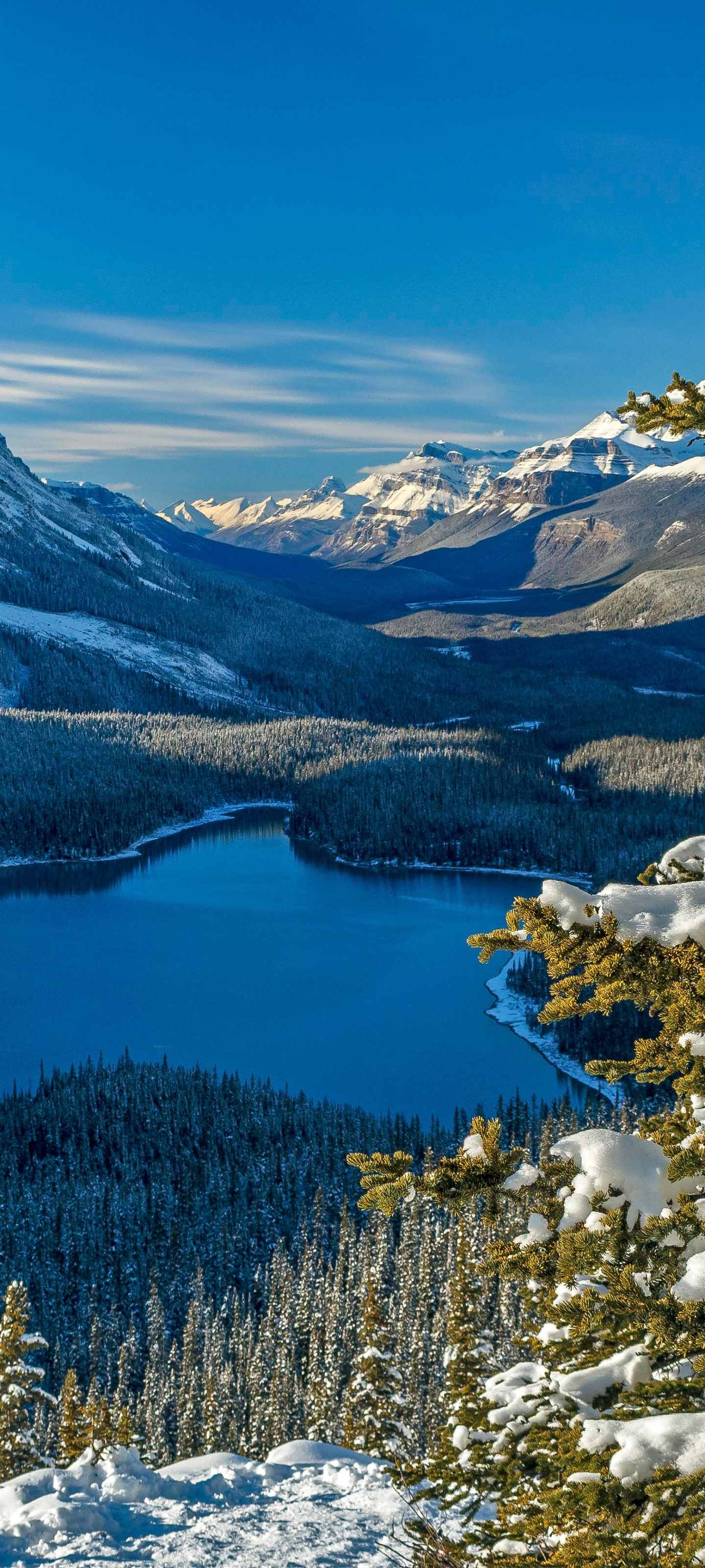 Peyto Lake iPhone Wallpaper
