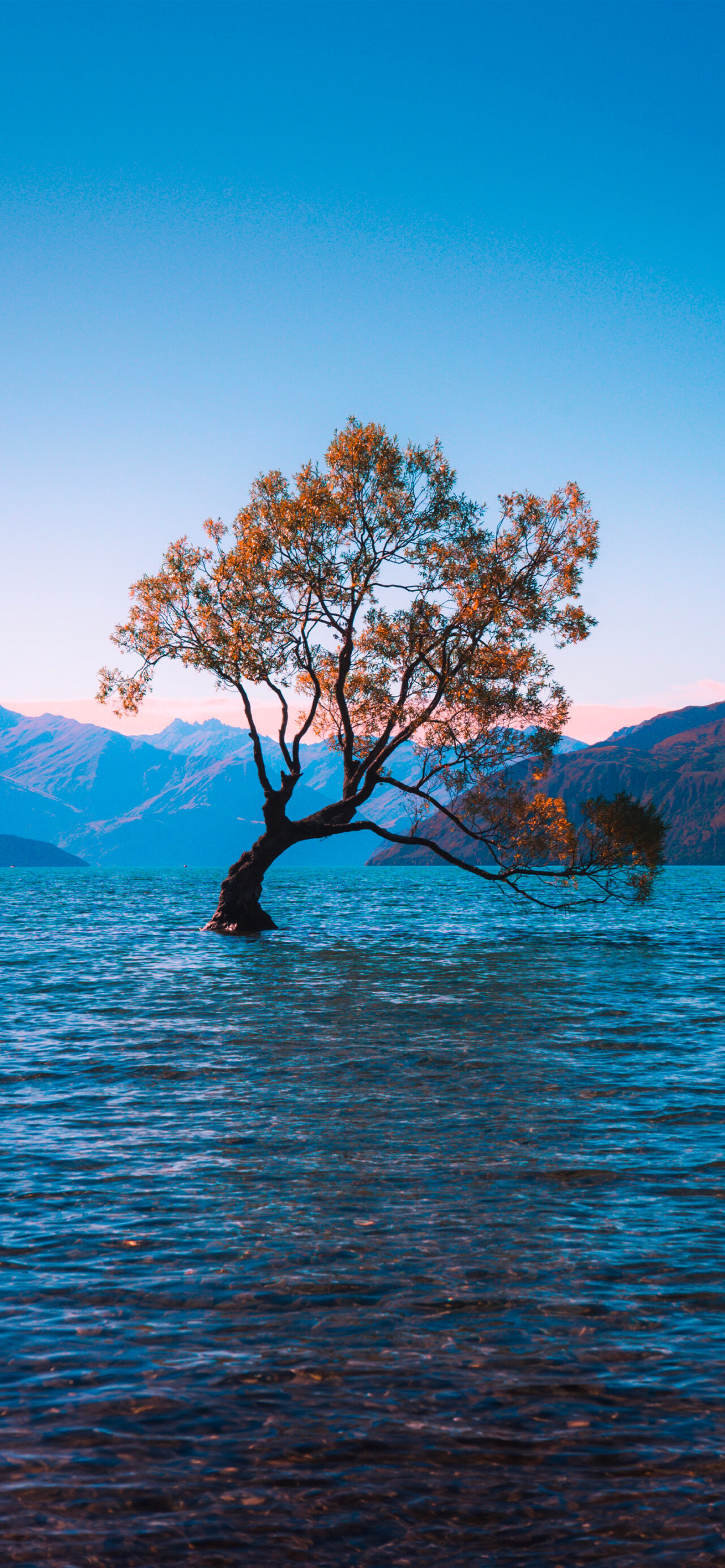 Lake Wanaka, New Zealand