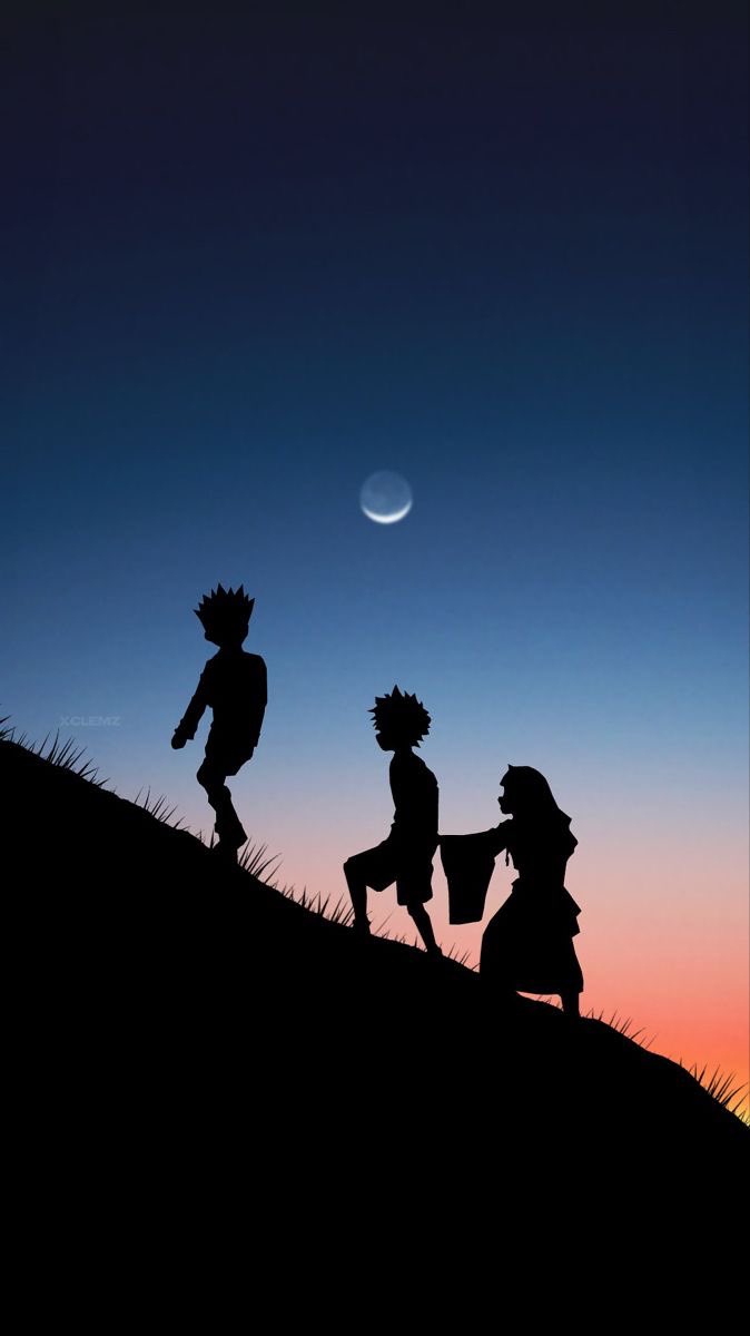 Hunter x Hunter, Hunter x Hunter