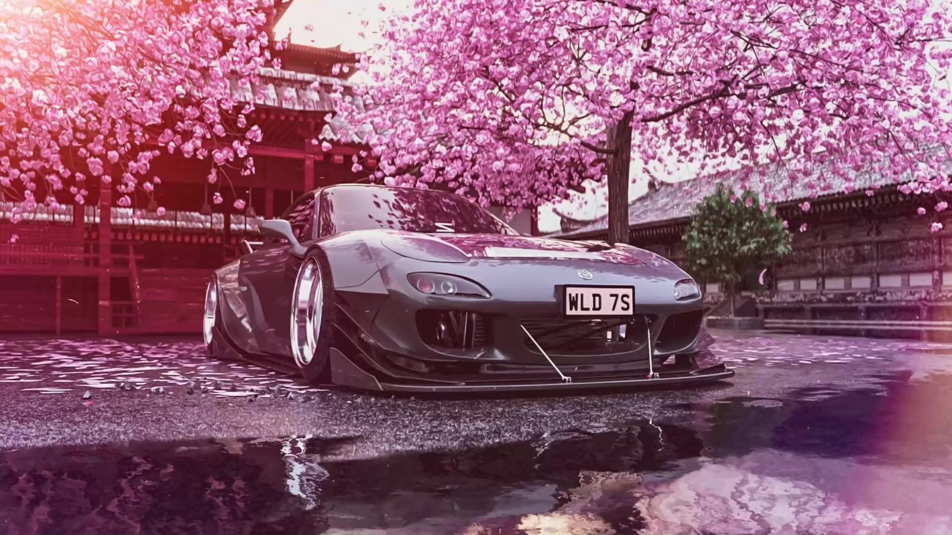 Mazda RX 7 Cherry Blossom Live