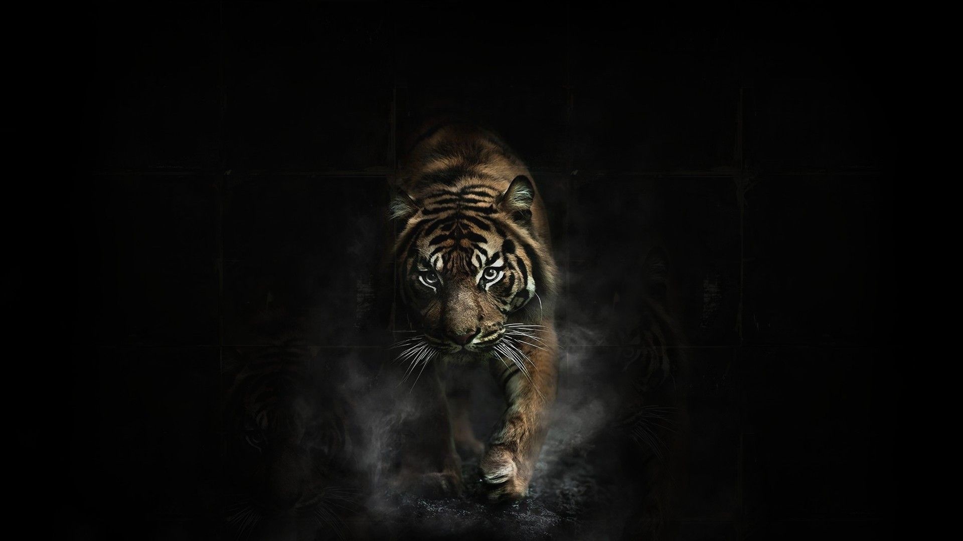 Beautiful Tiger attack Wallpaper. Обои