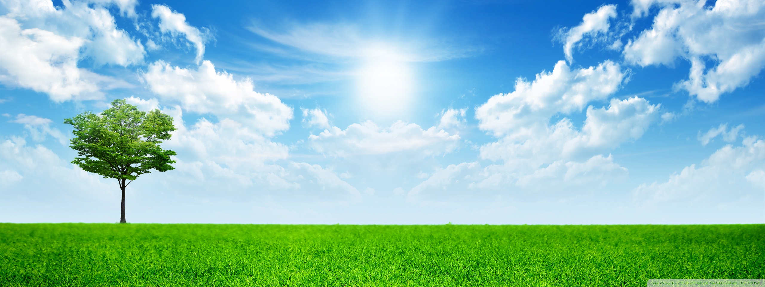 Ultra HD Desktop Background Wallpaper