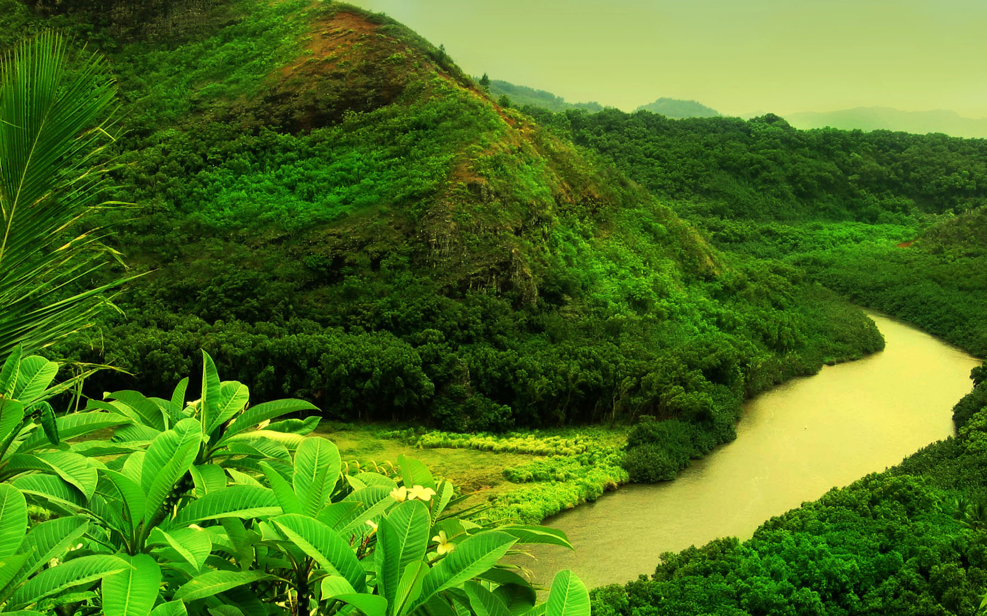 Green Nature Background