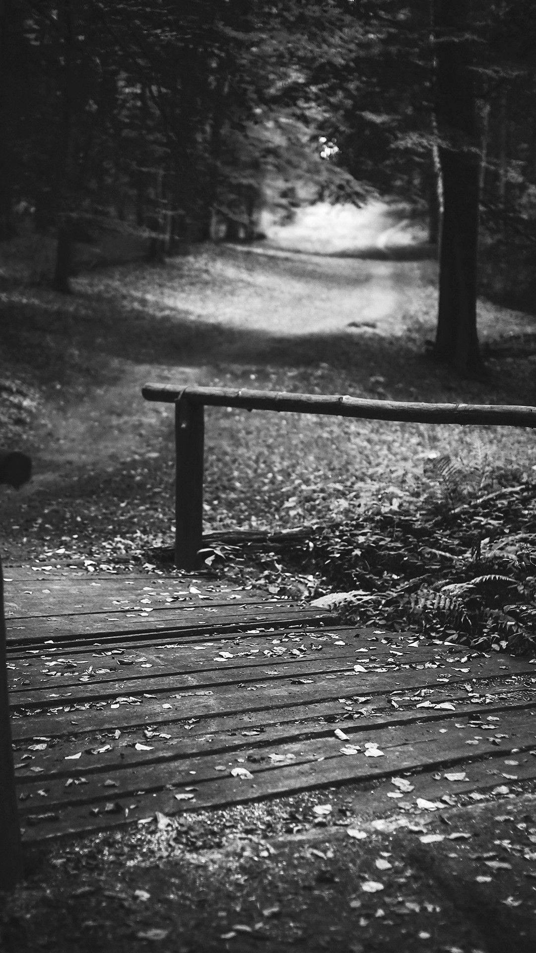 White iPhone Wallpaper