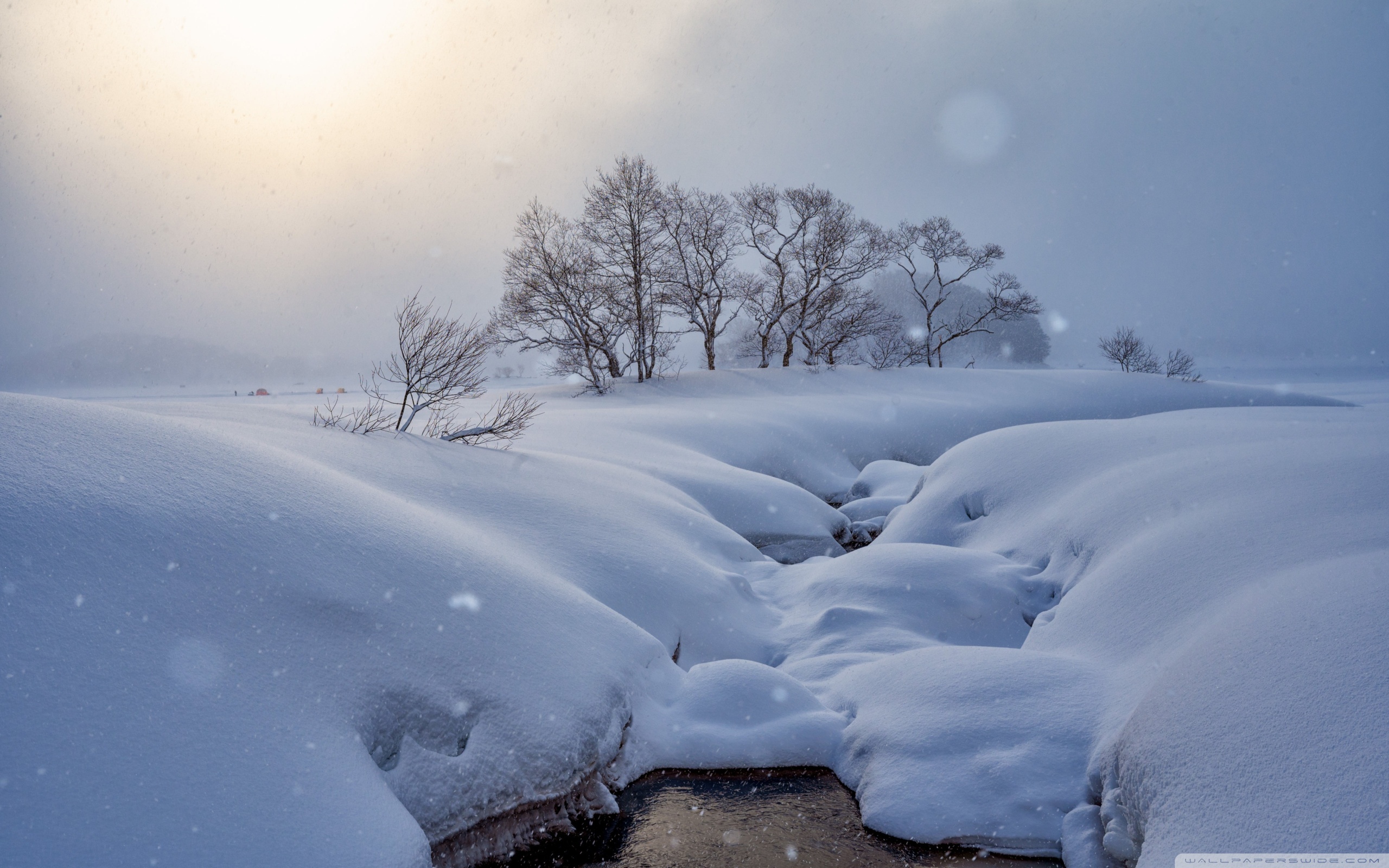 Winter Snowy Landscape Ultra HD Desktop