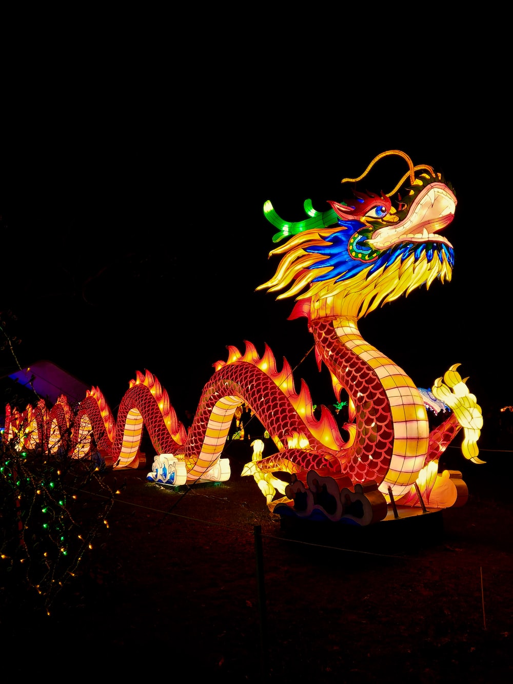 30,Chinese Dragon Picture