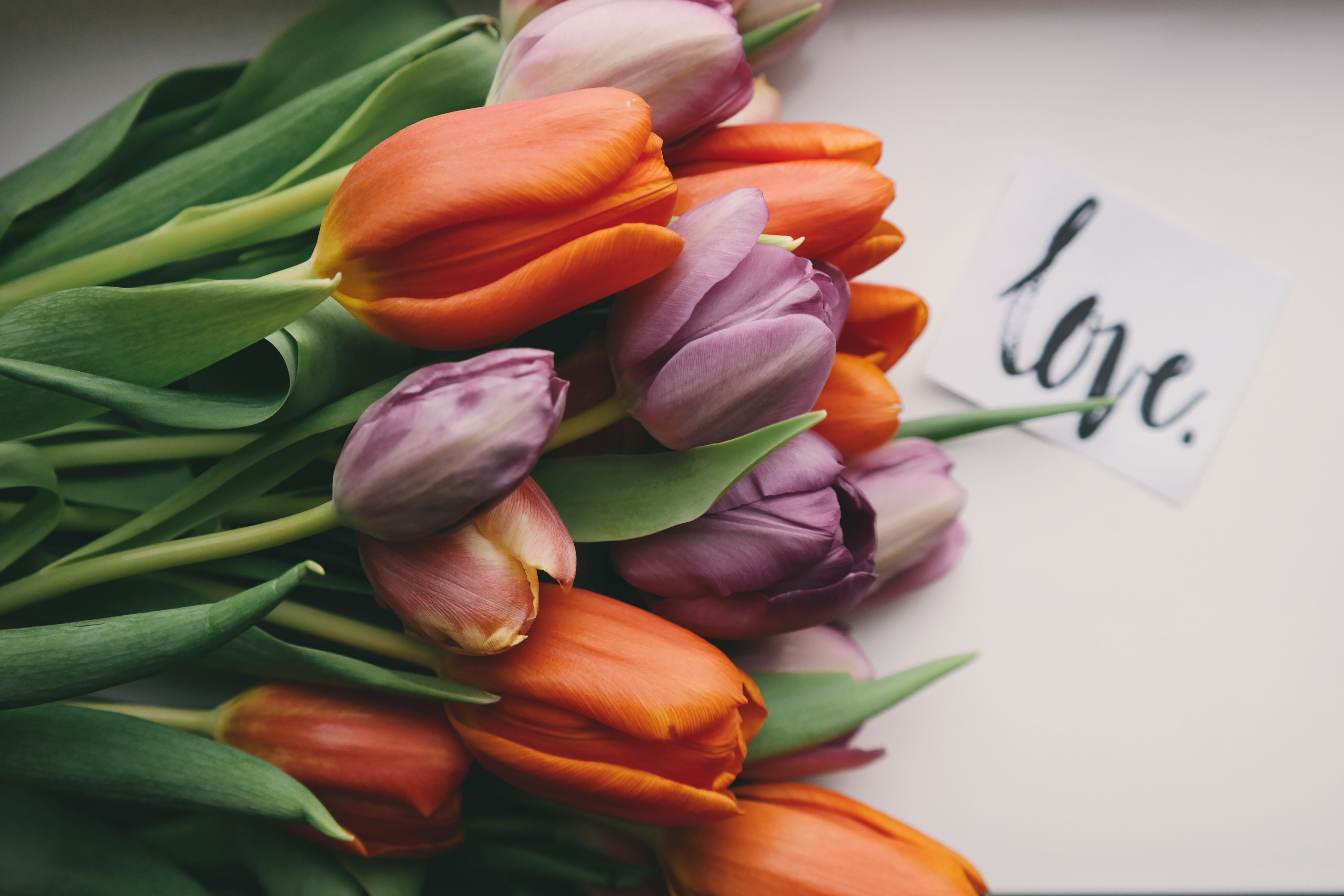 Day Wallpaper and Background