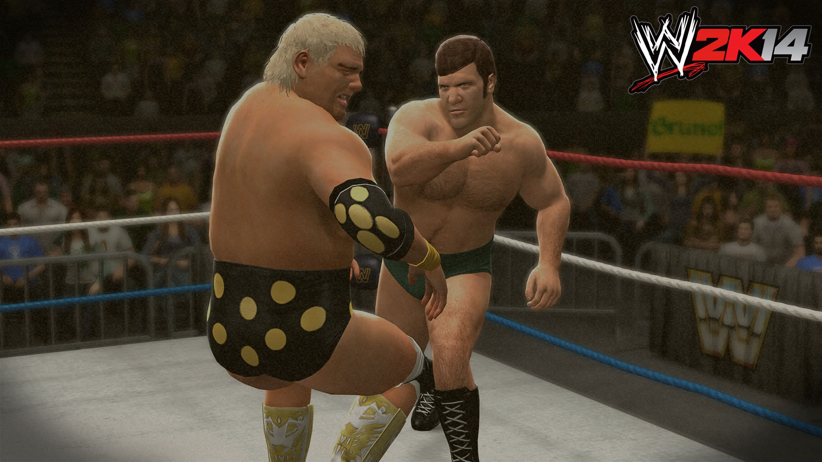 Dusty Rhodes screenshots, image