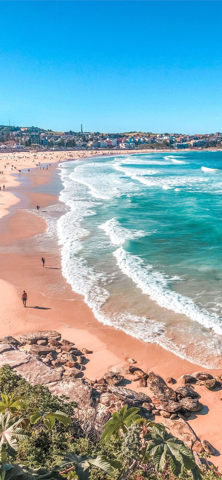 bondi beach iPhone Wallpaper