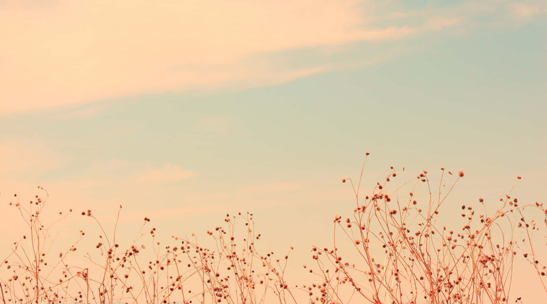 soothing, gentle palette of soft colors