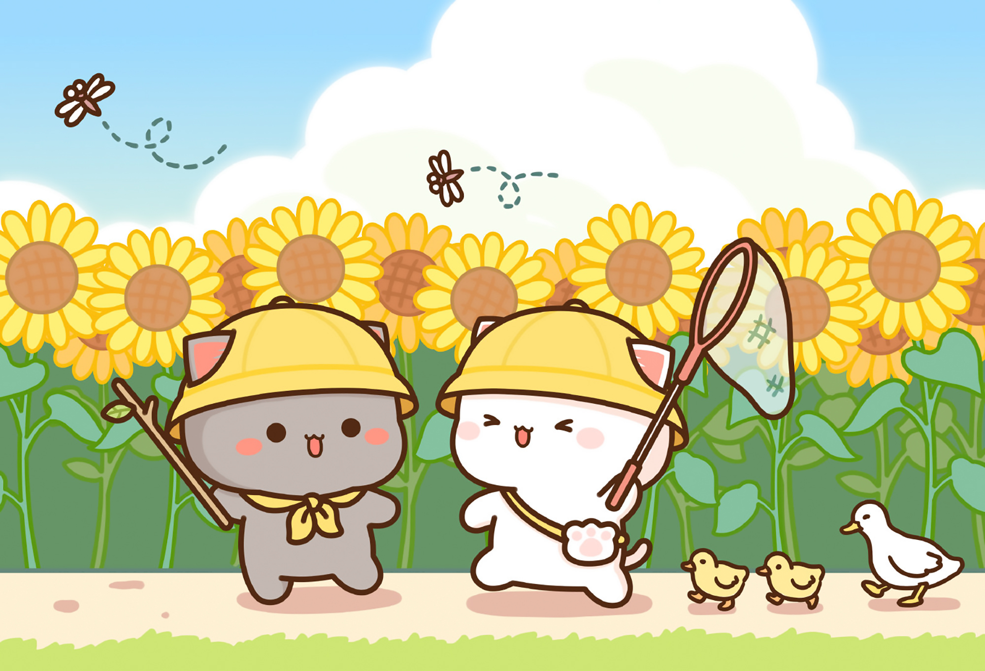 Peach & Goma Sunflowers In June