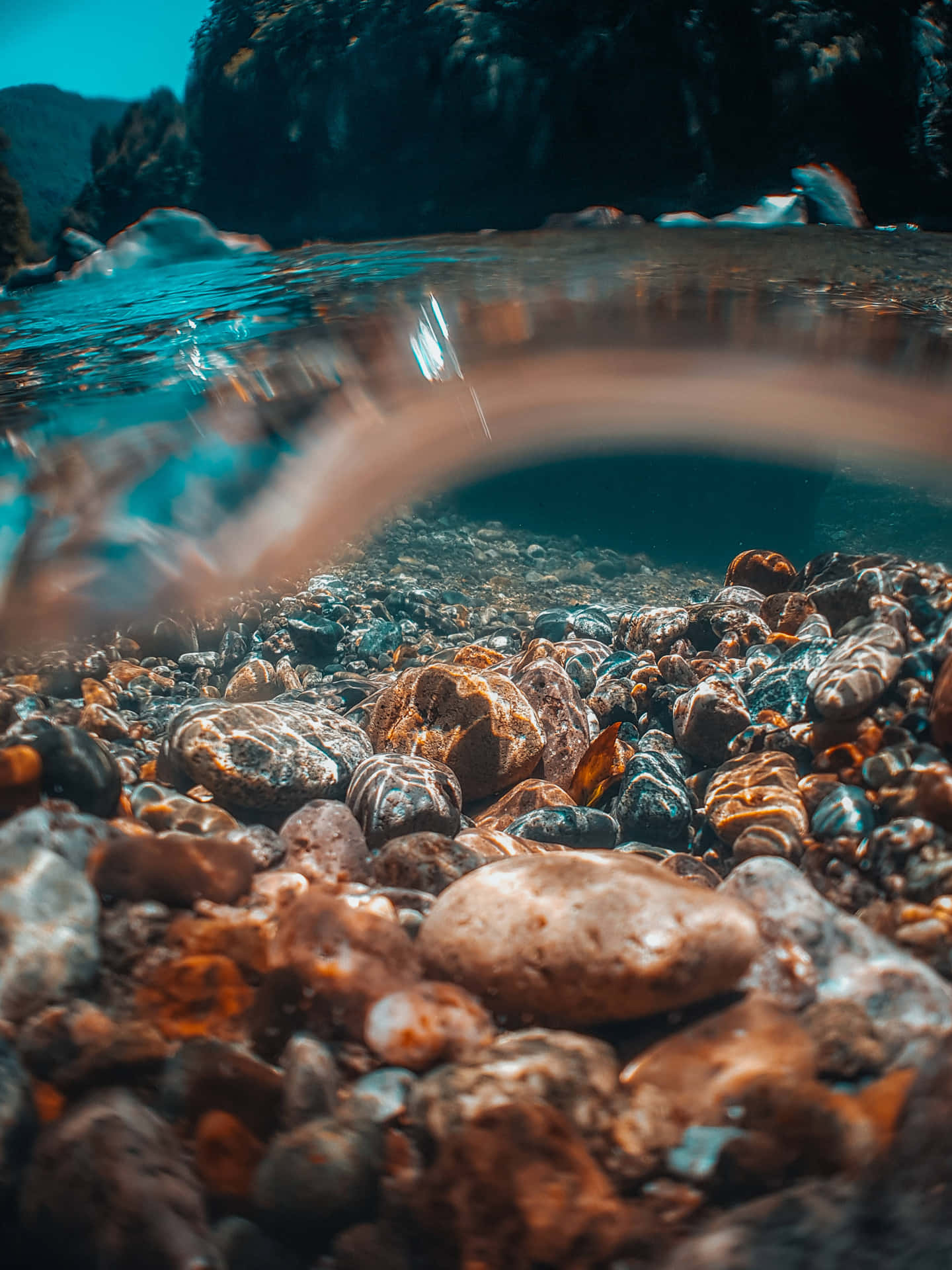 Download Underwater Photography Of