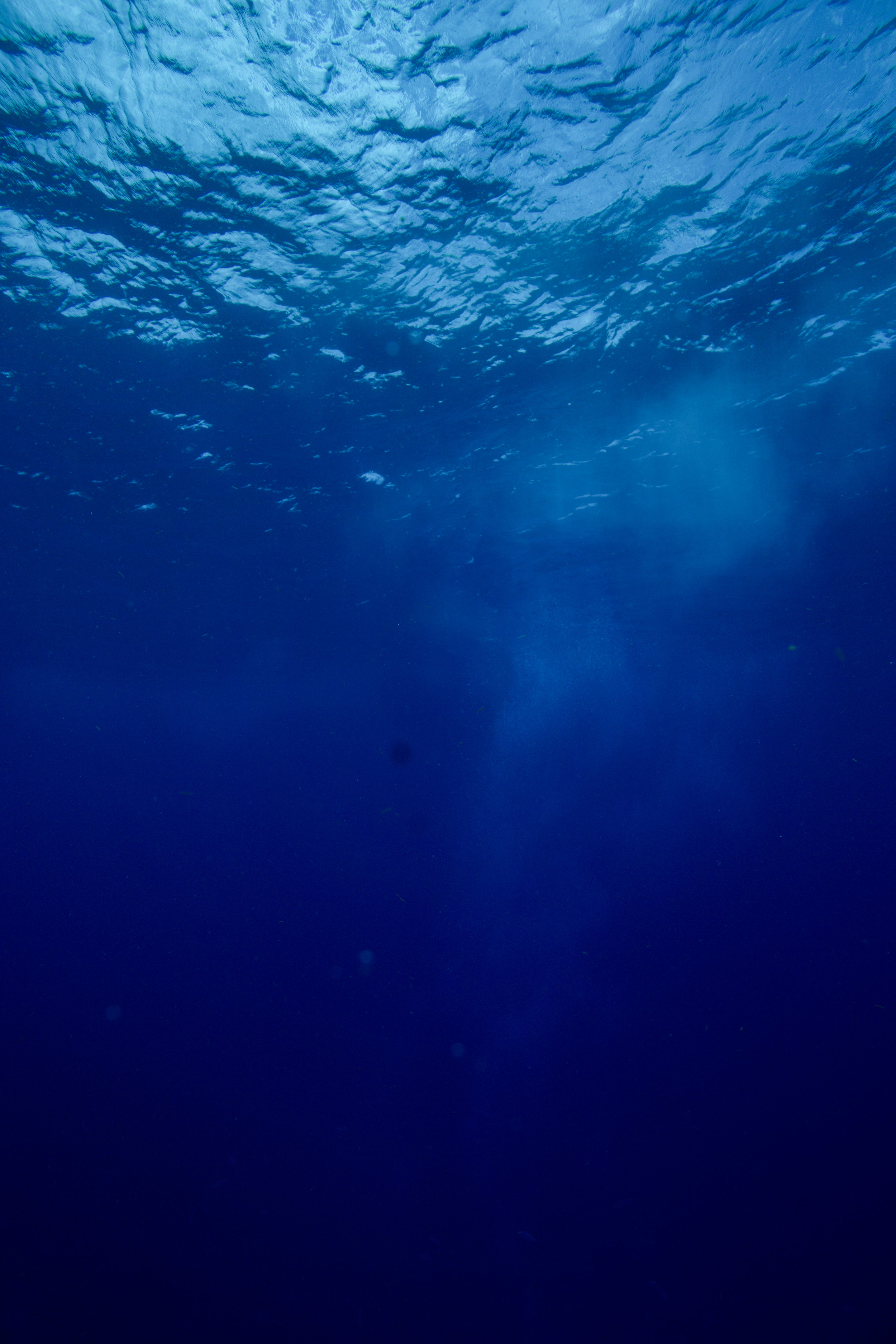 Underwater Photography with Ocean Nomad