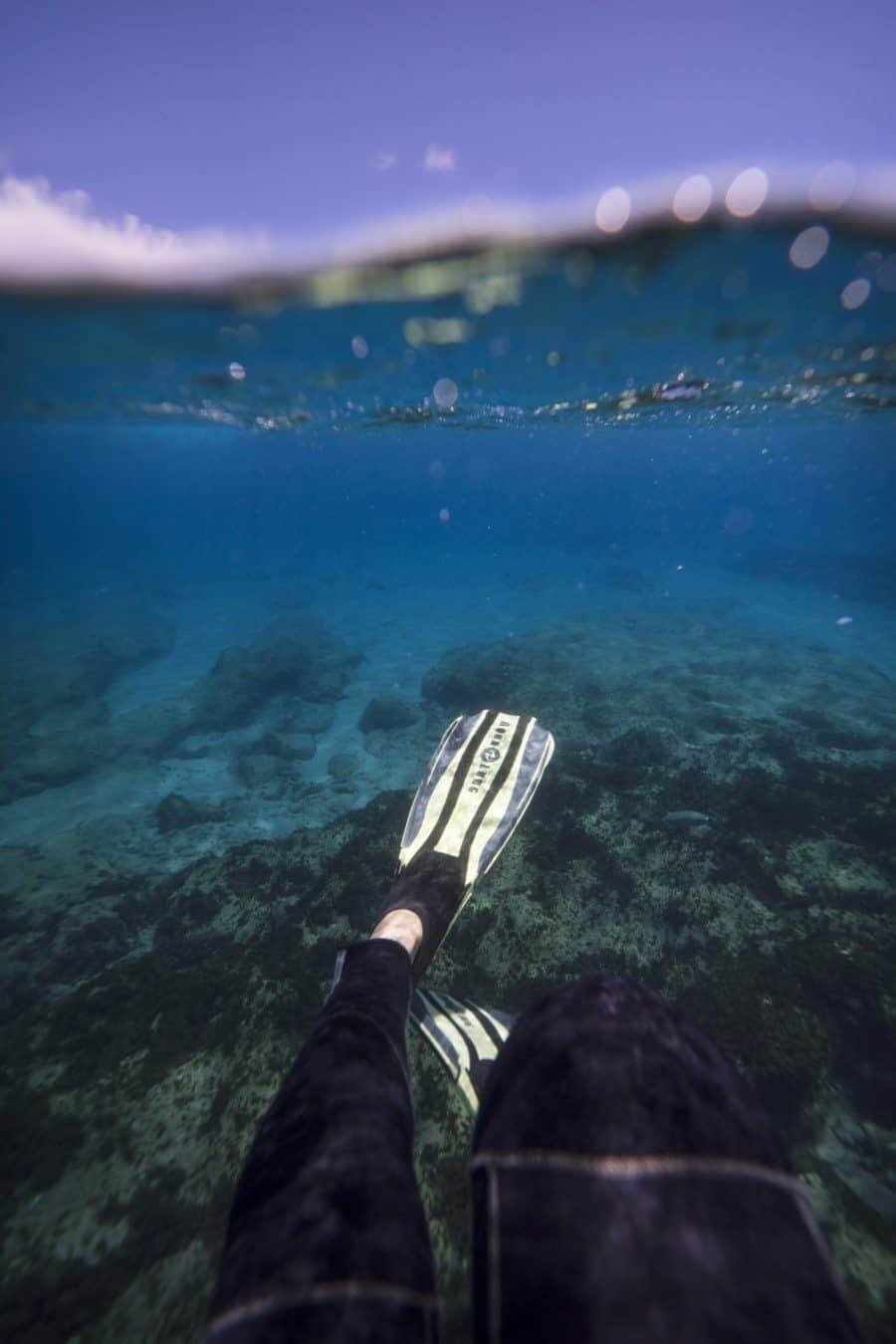Underwater Photography