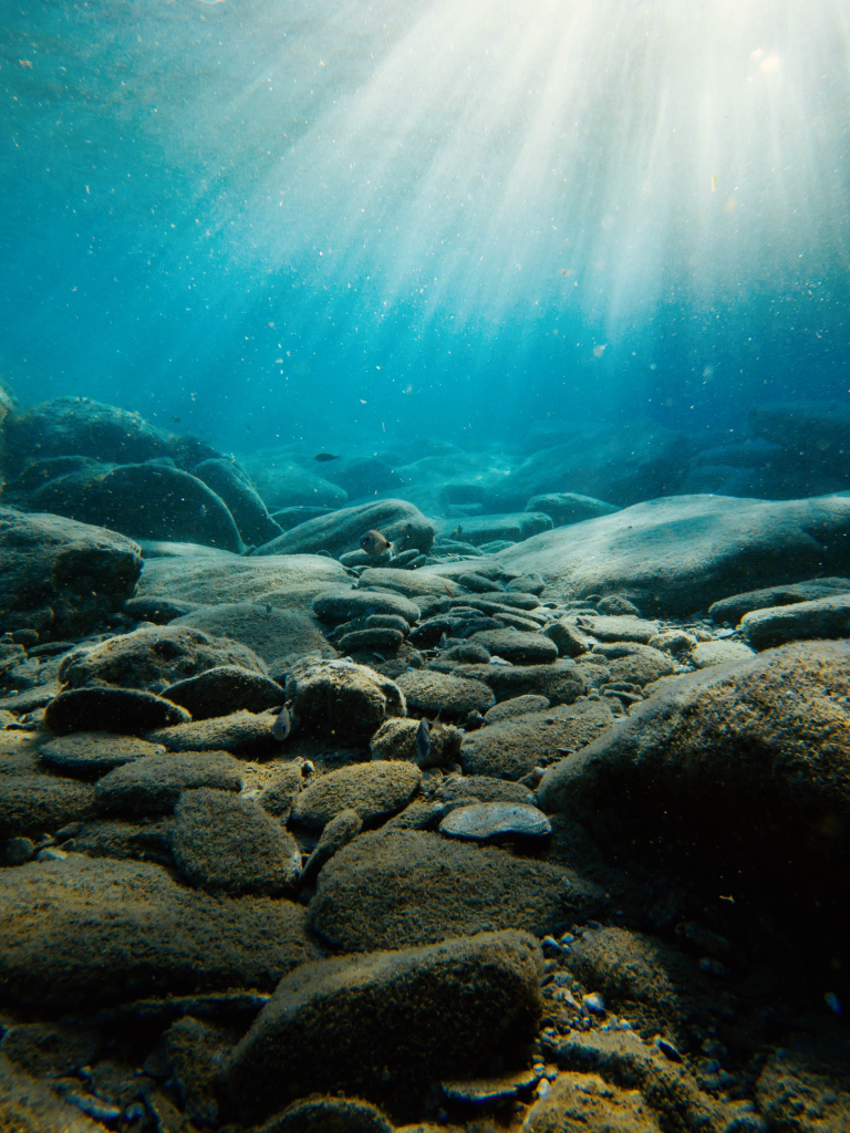 wallpaper: Underwater, Photography