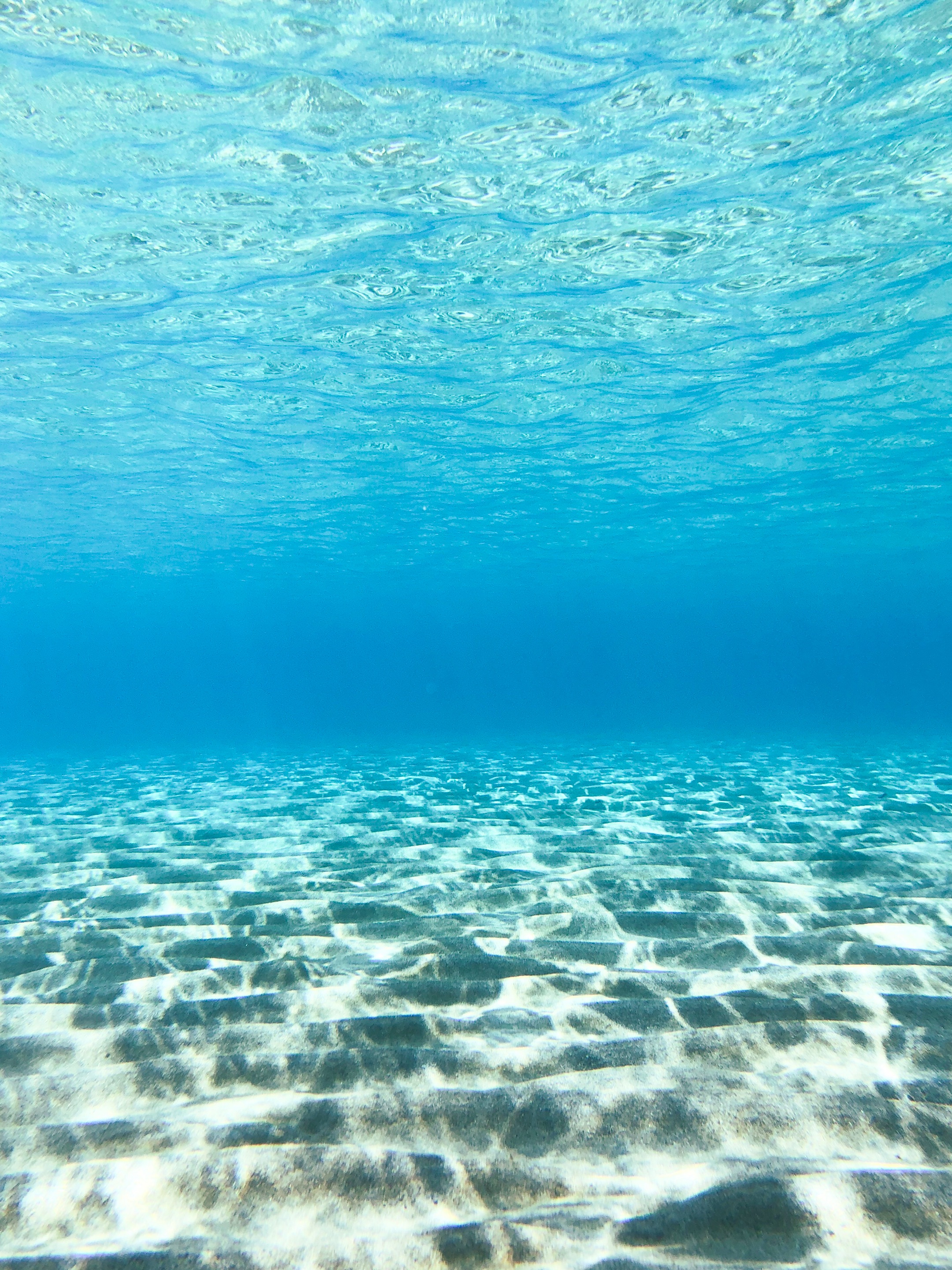 The AquaTech AxisGo Underwater iPhone