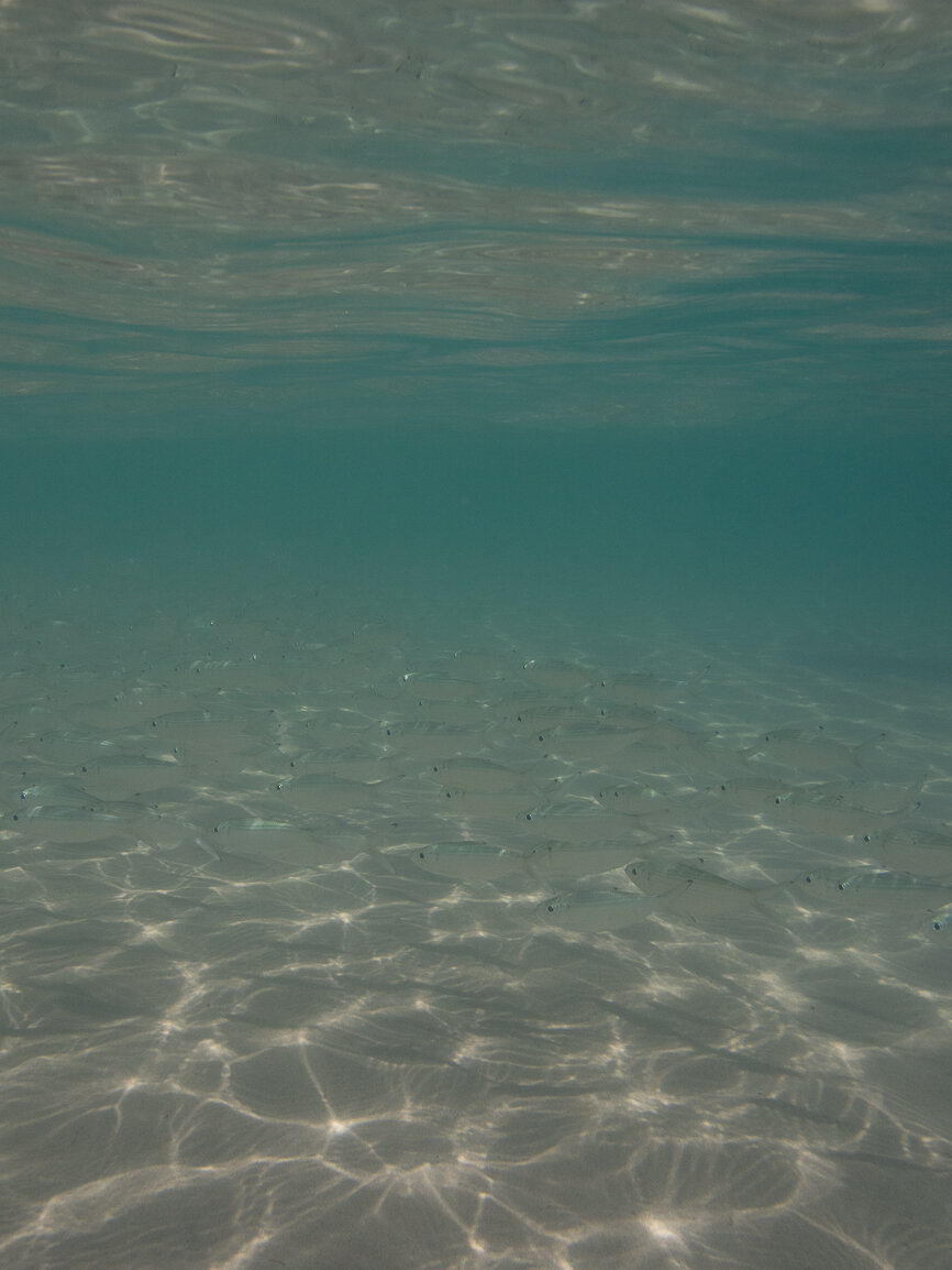 underwater photo really POP