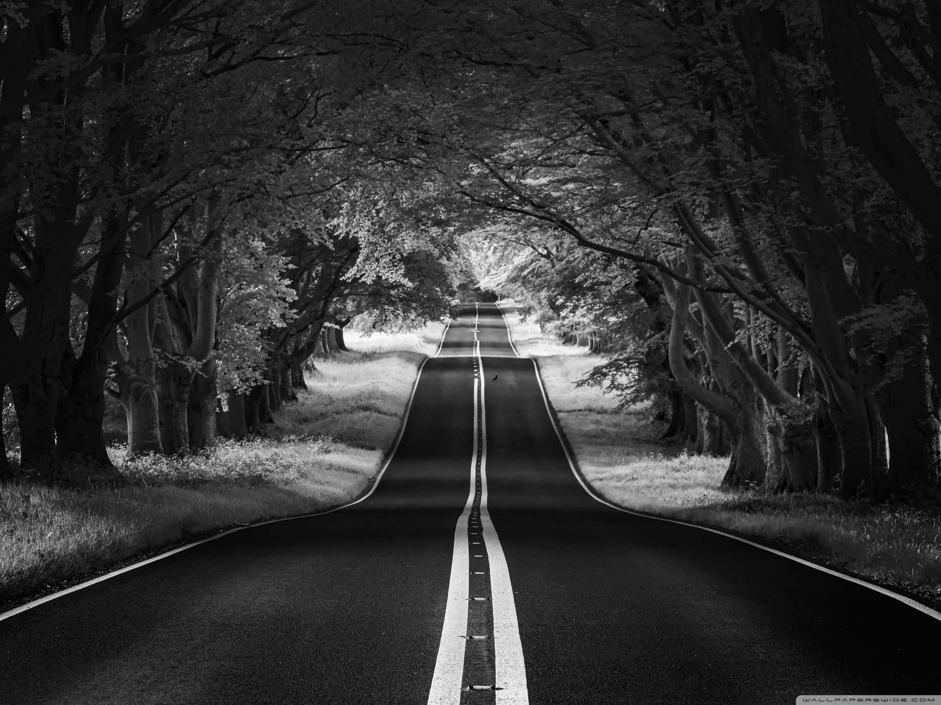 Black And White Aesthetic Pc