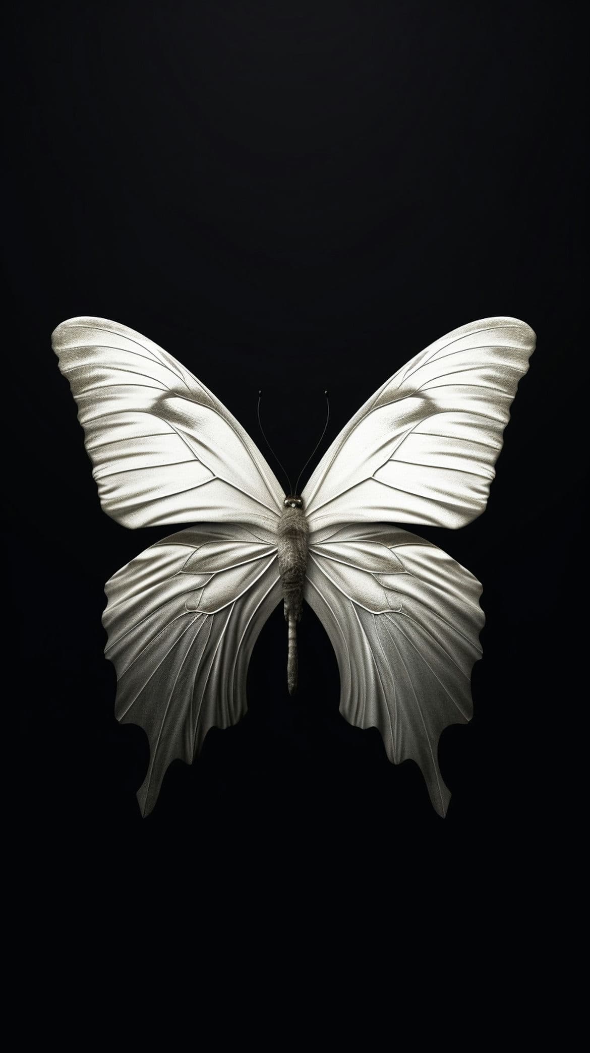 Black Aesthetic Wallpaper