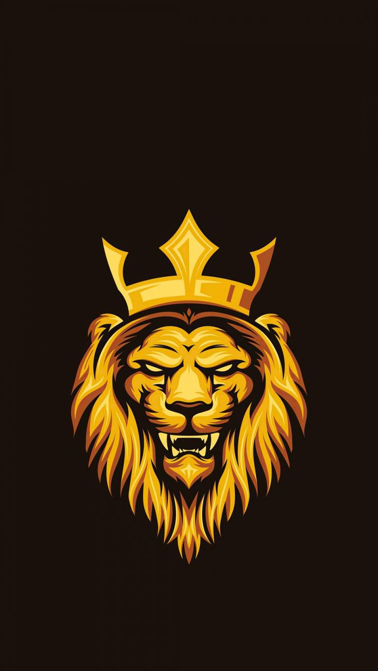 Lion HD wallpaper, Lion wallpaper, Lion