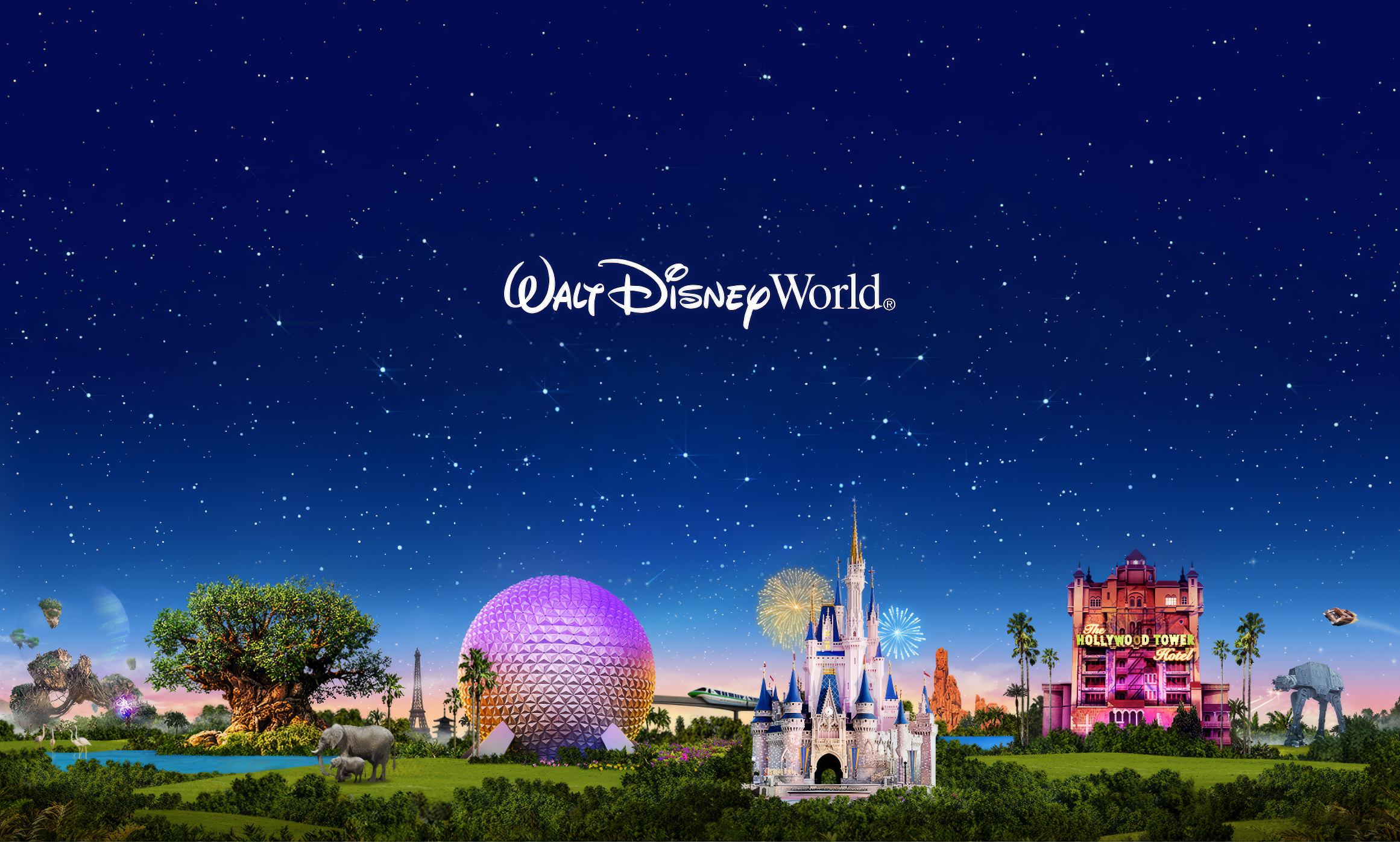 Enchanting Walt Disney World Night Sky