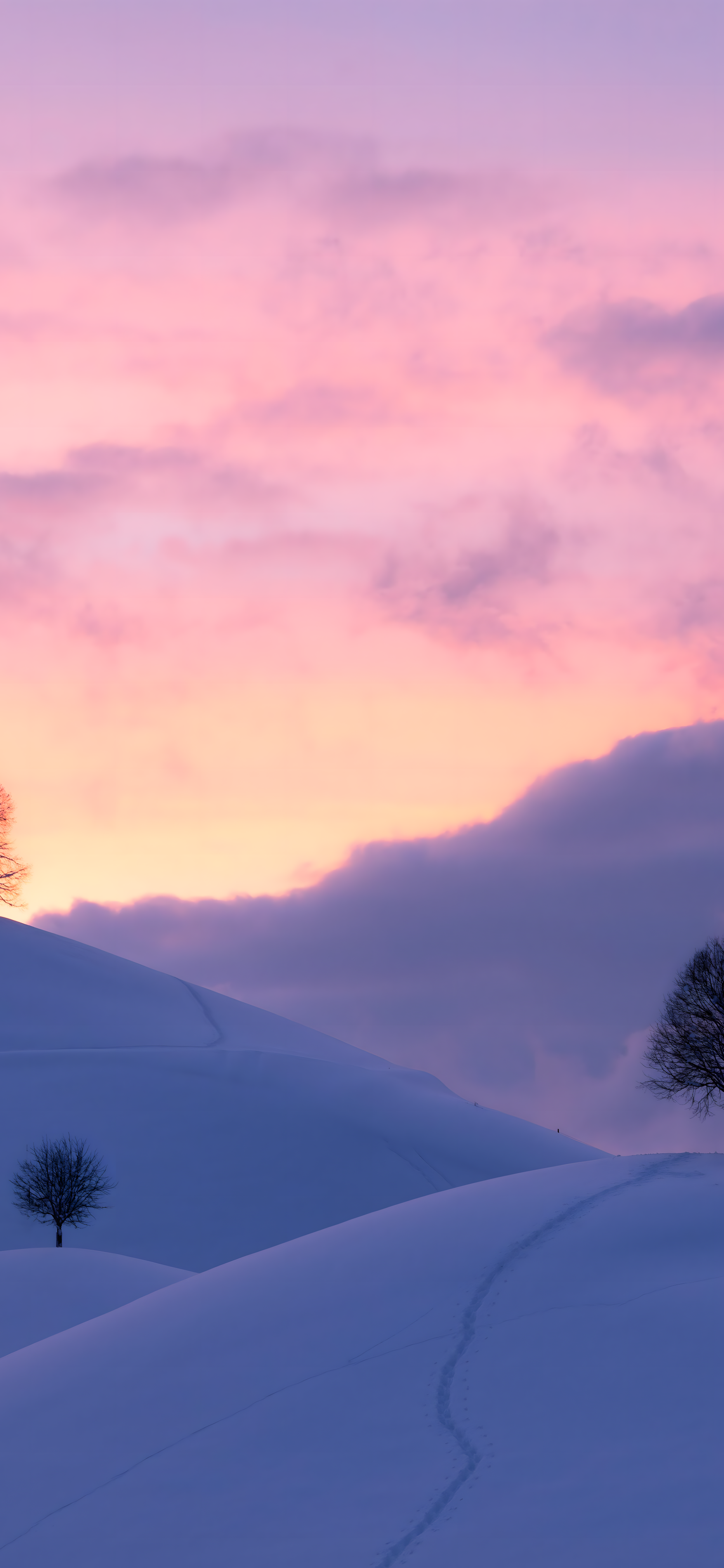 Stunning 4K Wallpaper for Your iPhone