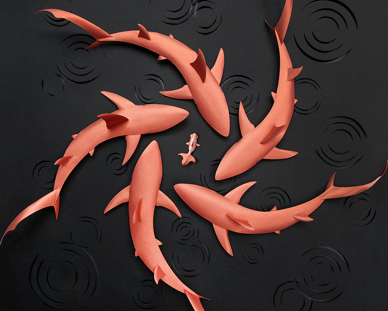 Fish Pink Rose Gold Shark Art
