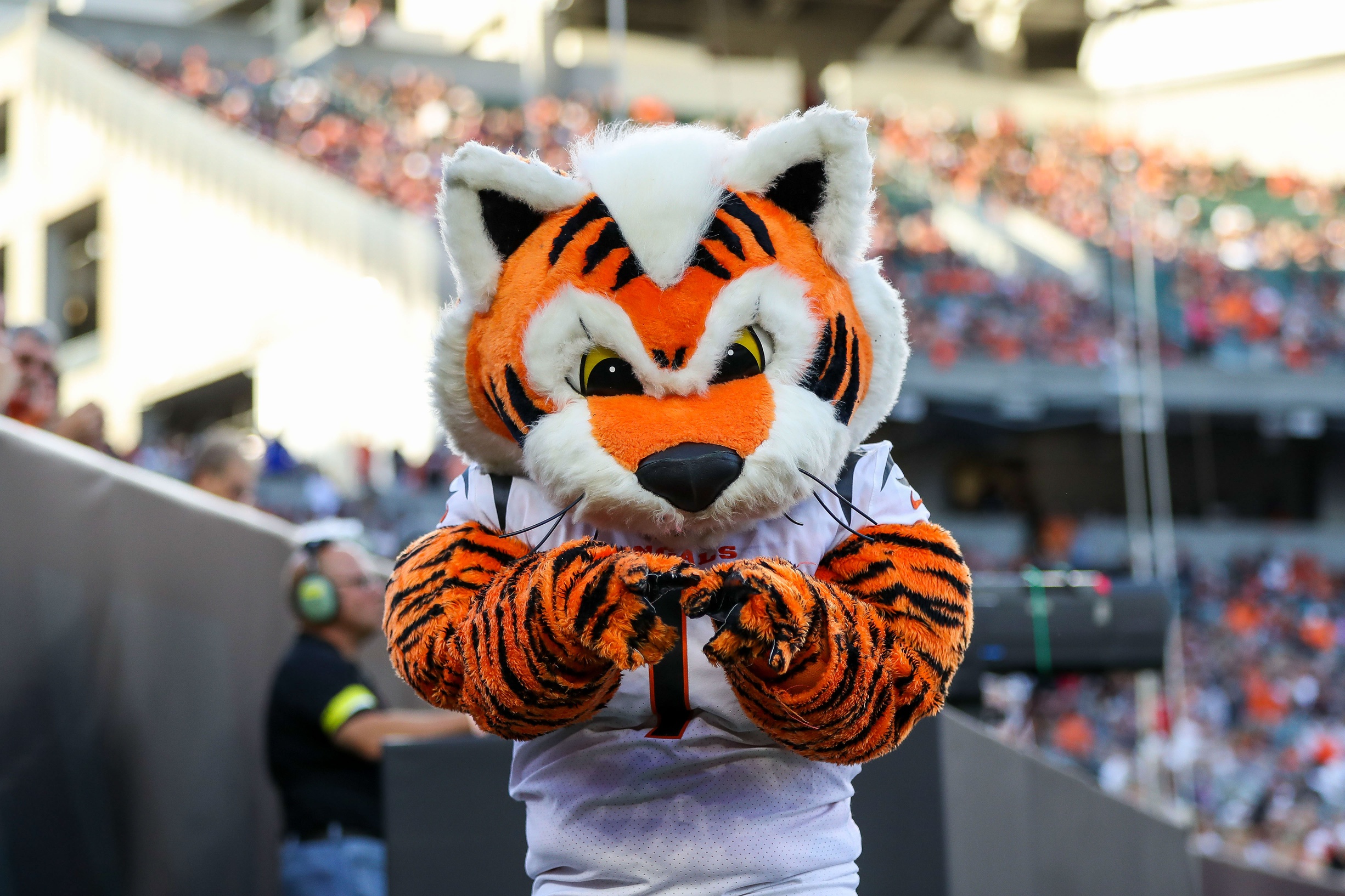 NFL Mascots Wallpapers Wallpaper Cave