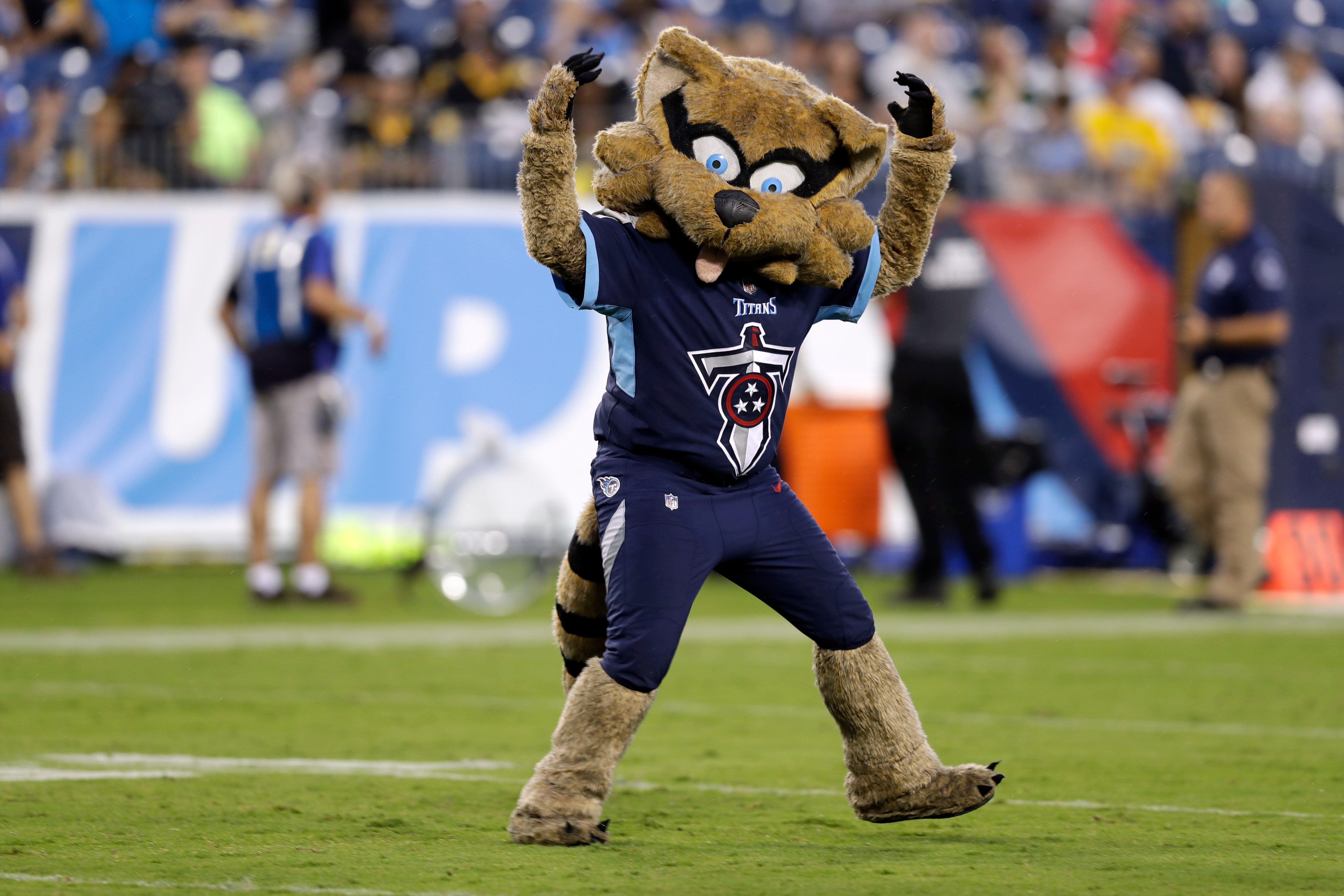 a mascot but these 4 NFL teams