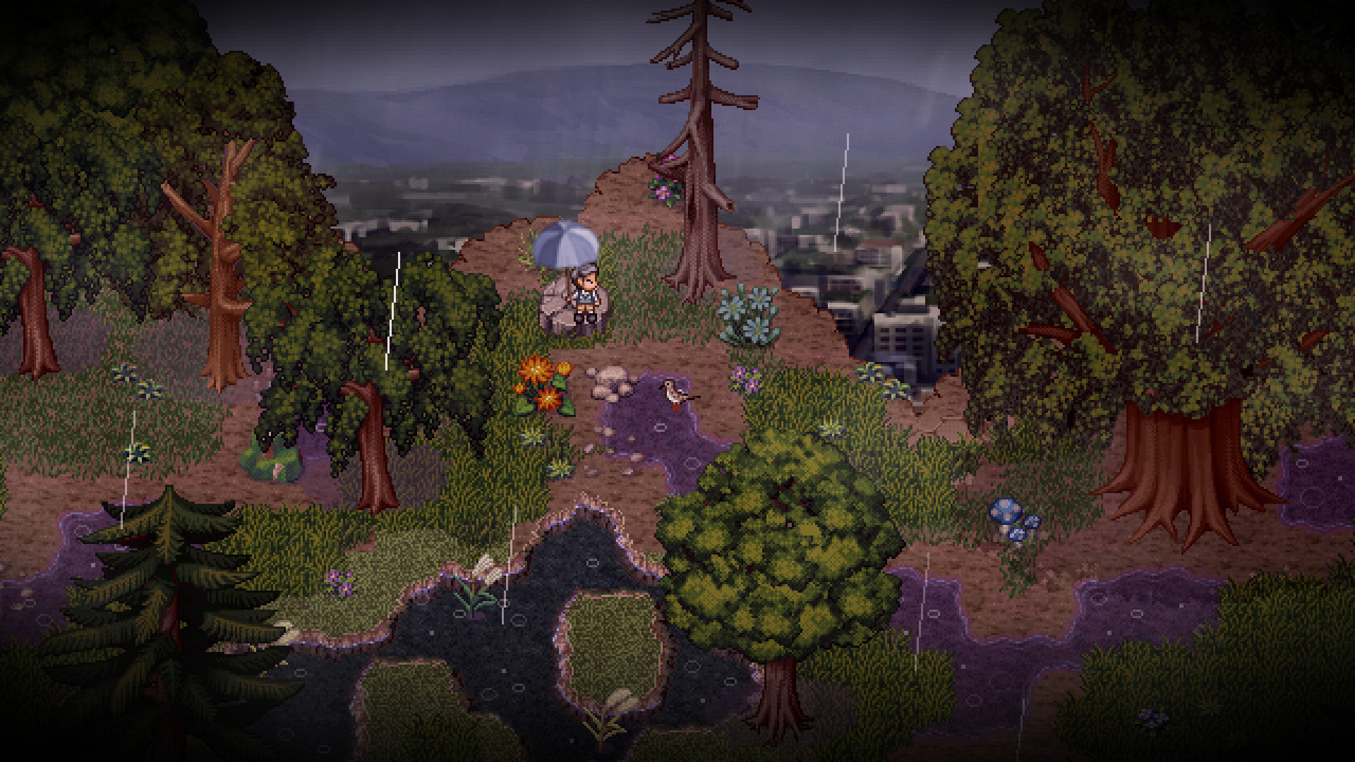 Finding Paradise Review