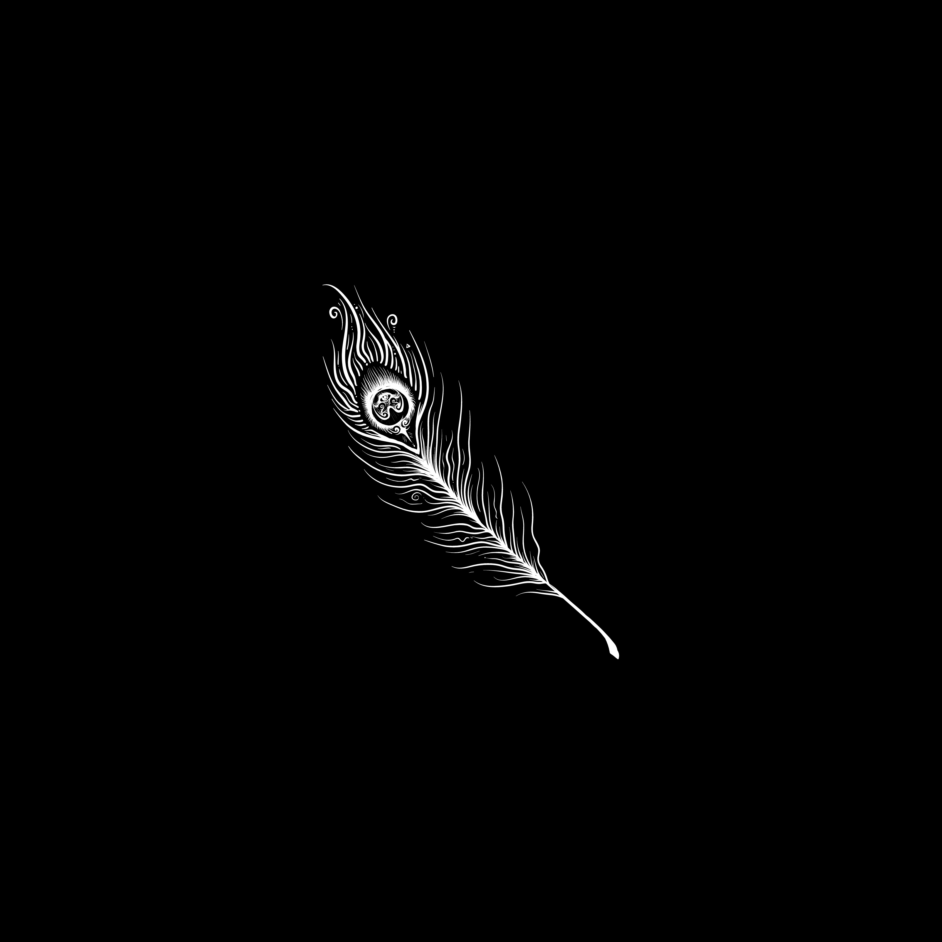 Peacock Feather White Black Background