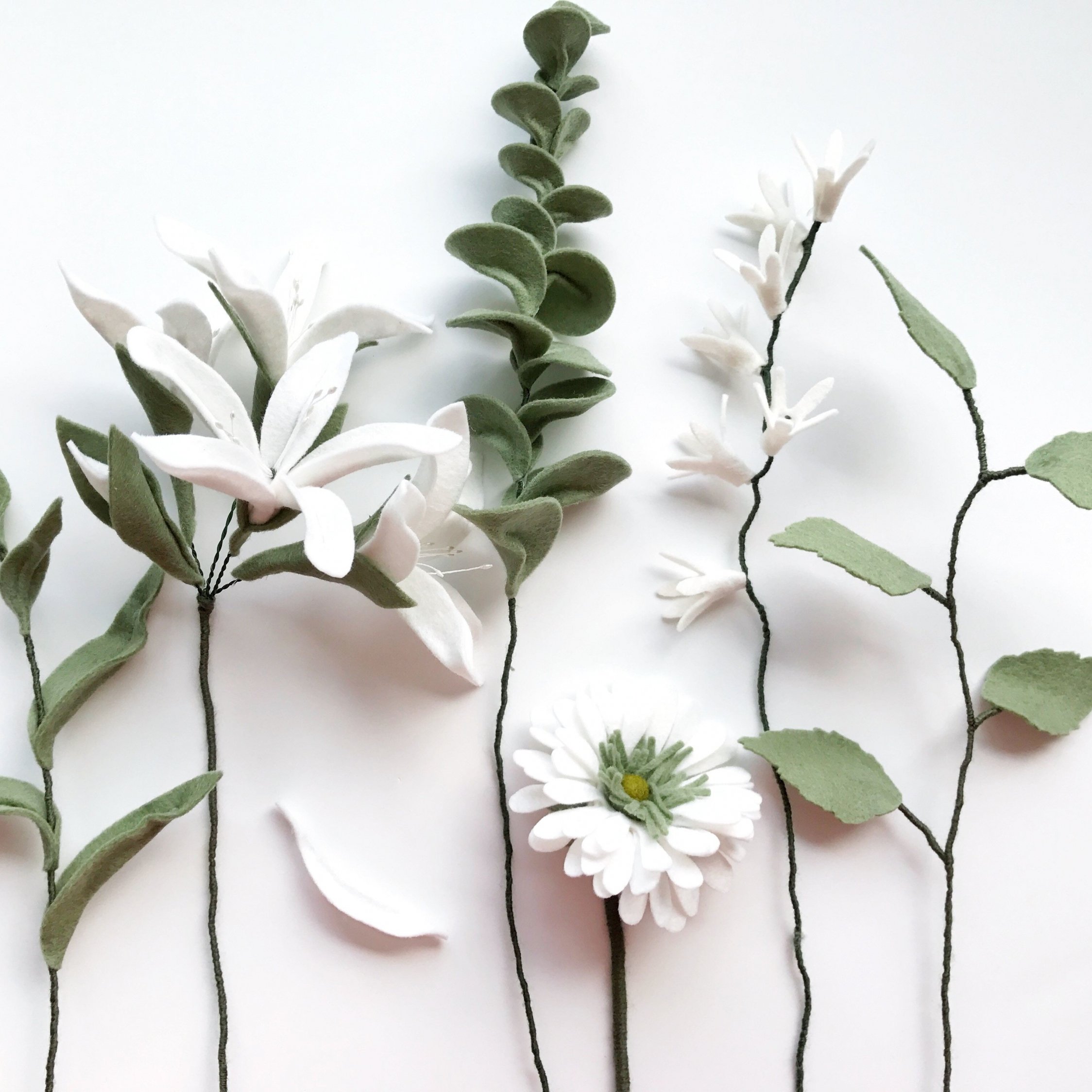 wallpaper 2248x2248 white flowers