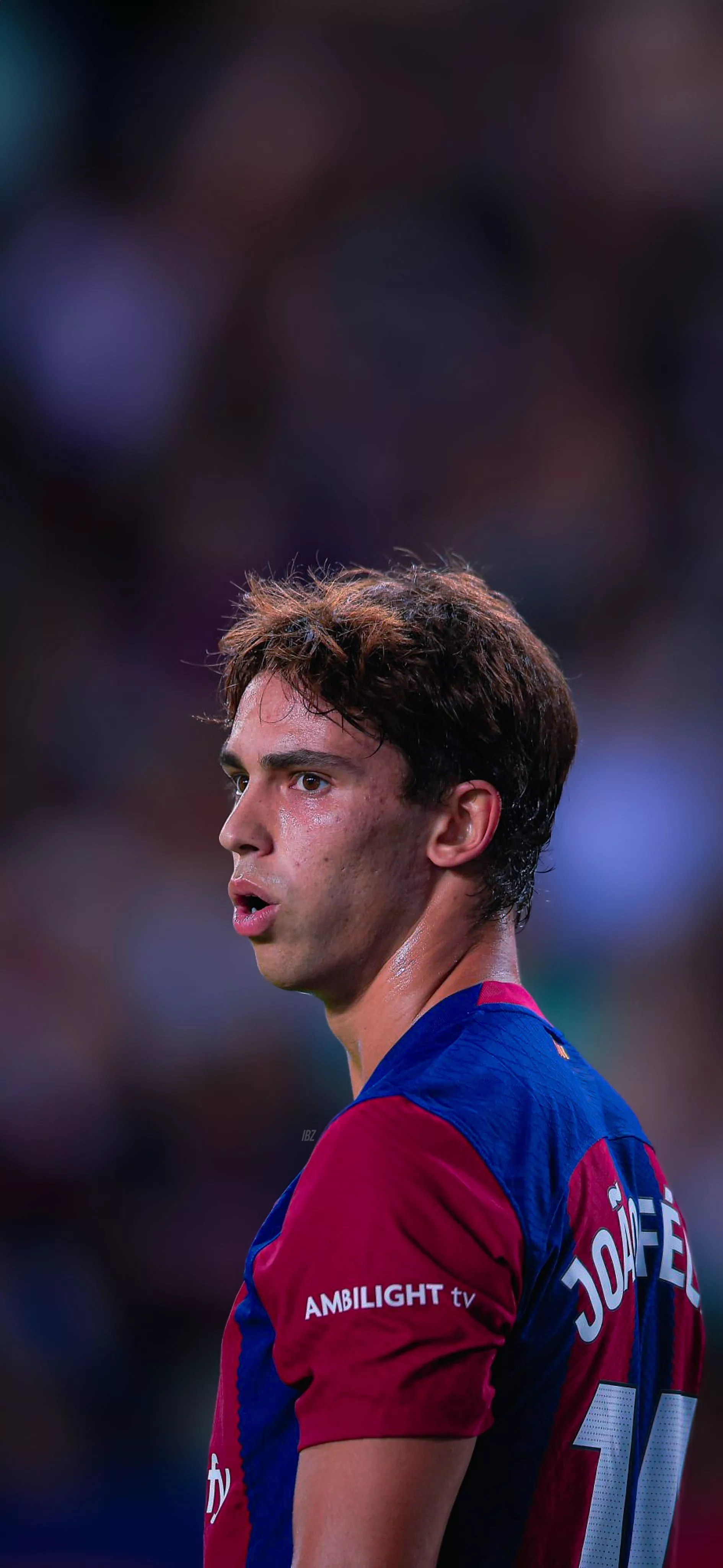 بزبلو. #Wallpaper └