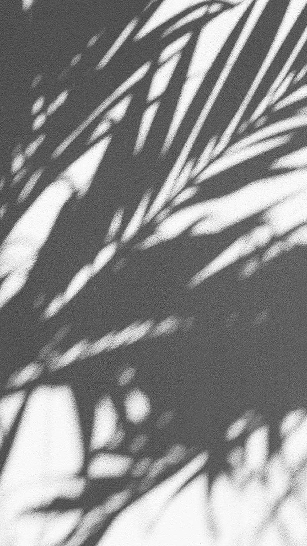 Black White iPhone Wallpaper Full