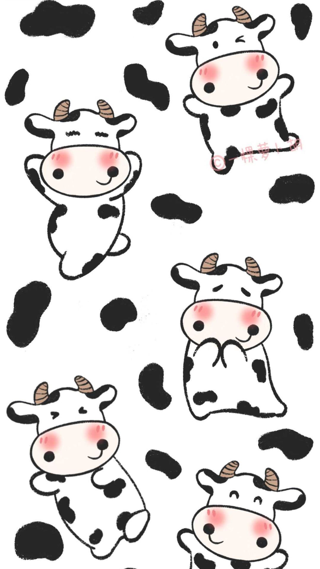 Cow Print Wallpaper Cow