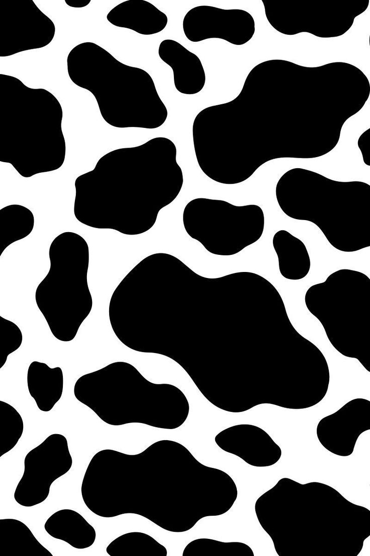 Cow wallpaper, Cow print wallpaper, Cow