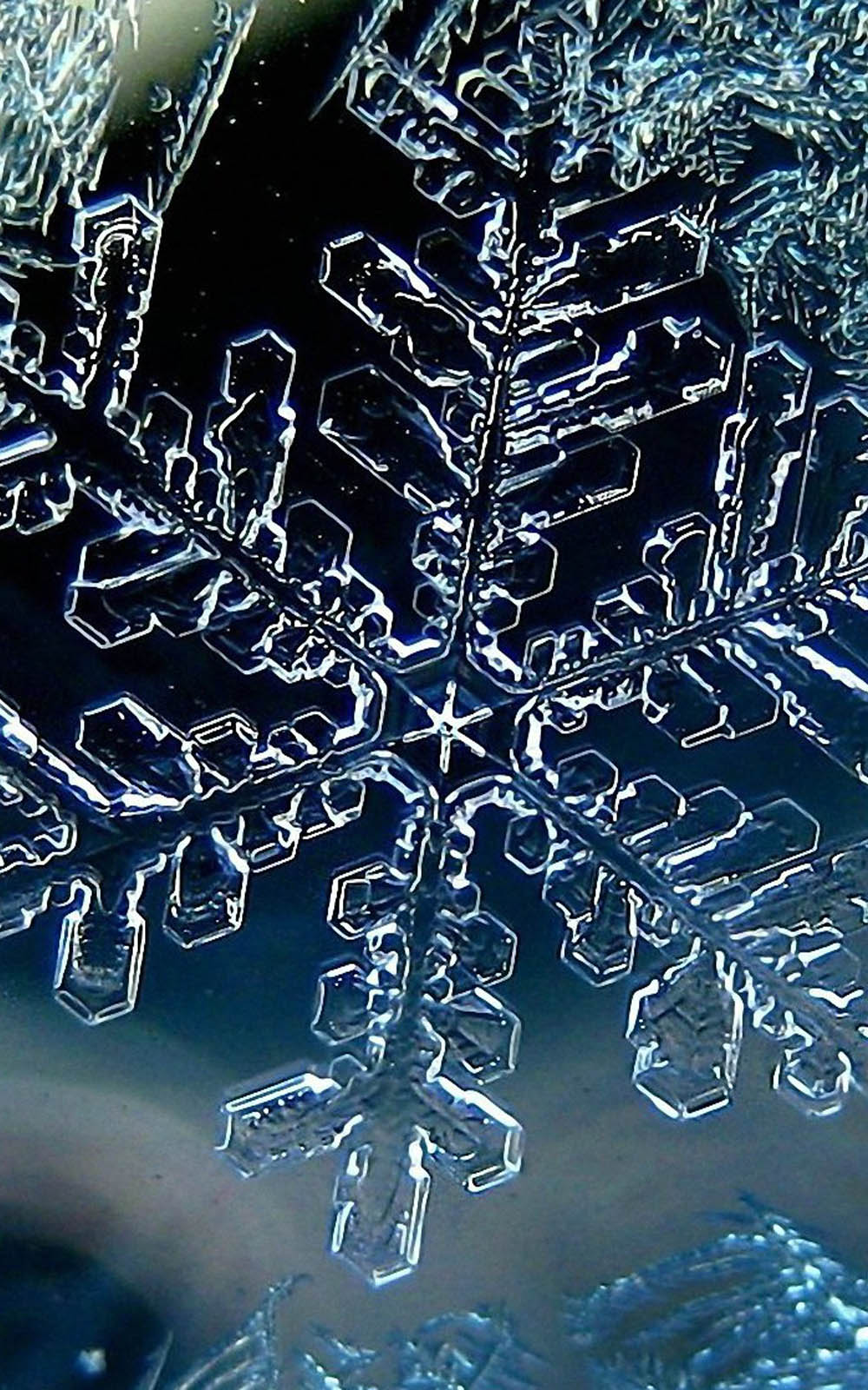 Snowflake Wallpaper