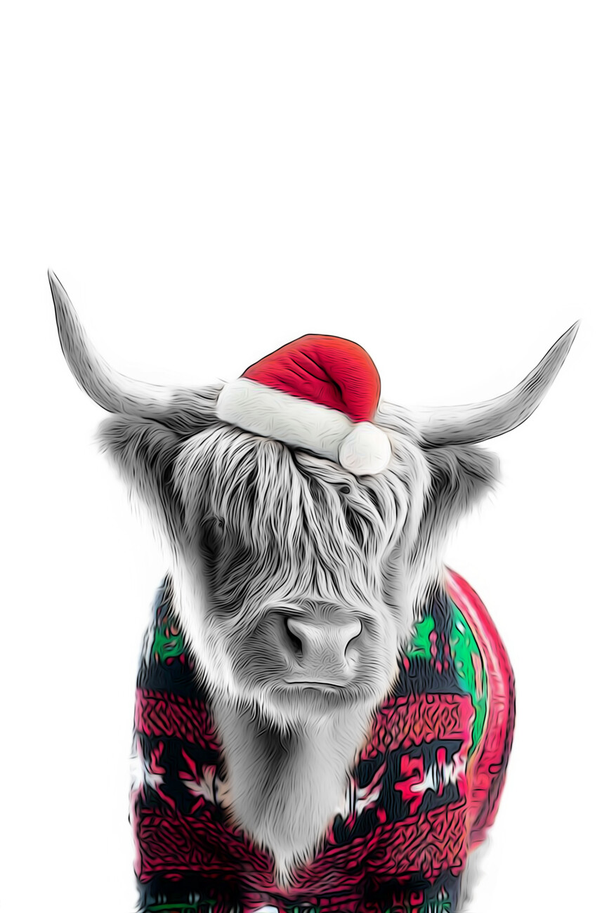 highland cow with christmas clothes