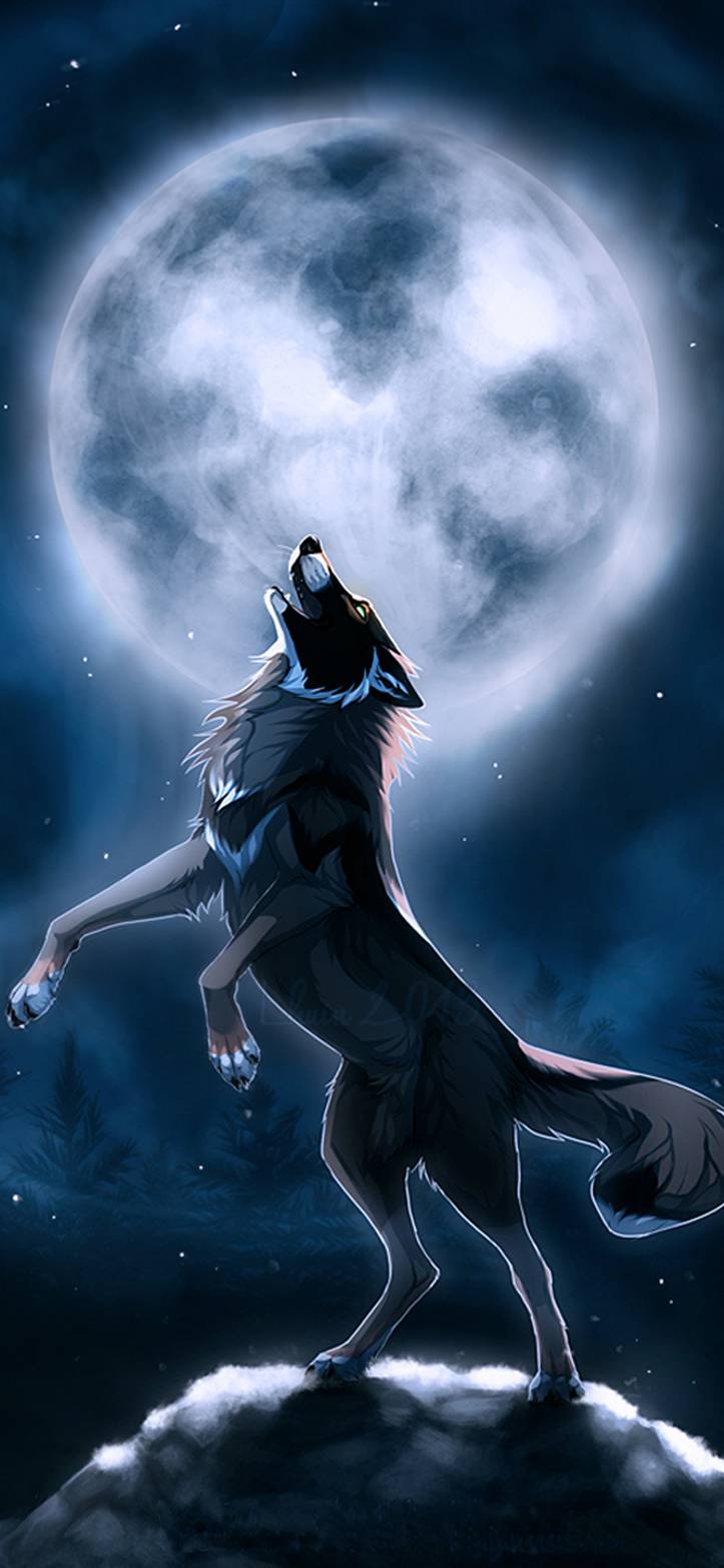Wolf Wallpaper Wolf