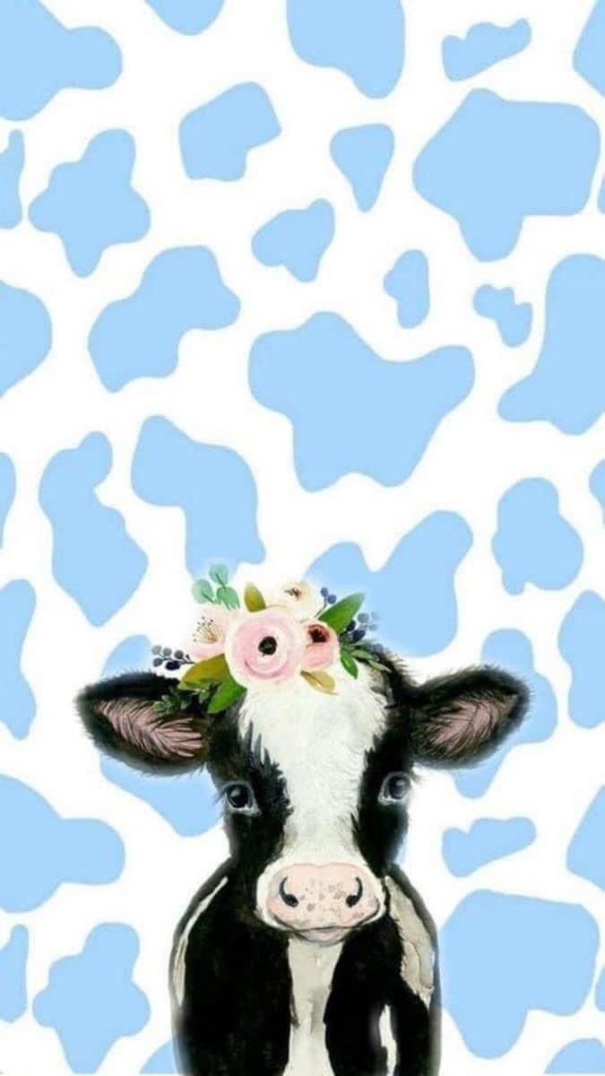 Holstein. Cow wallpaper, Cow print
