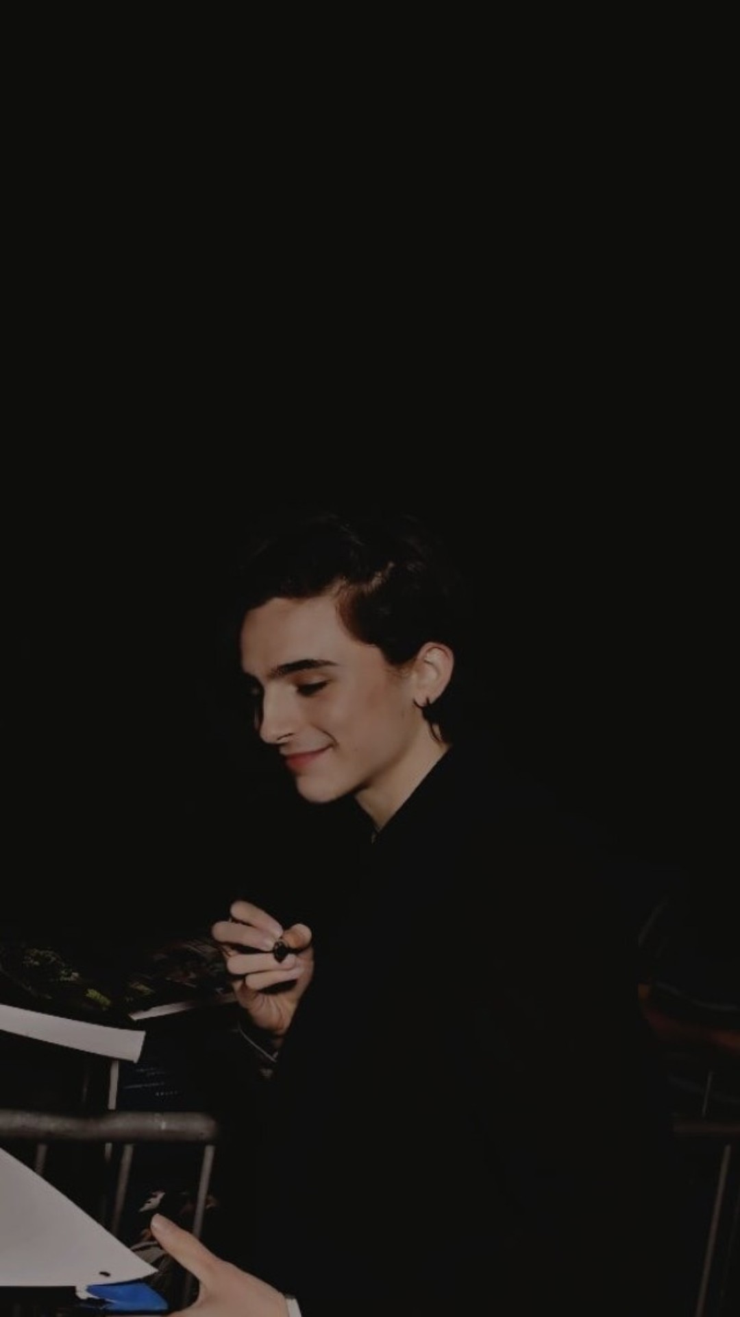 Timothée Chalamet Wallpaper