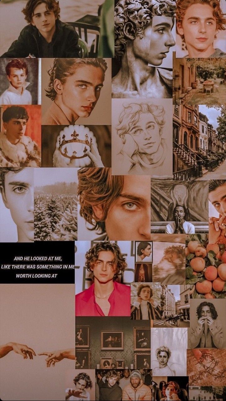 Timothee chalamet, Wallpaper, Aesthetic