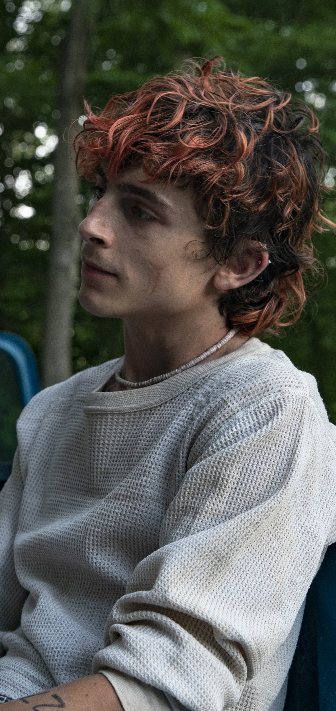 Timothée Chalamet iPhone Wallpaper