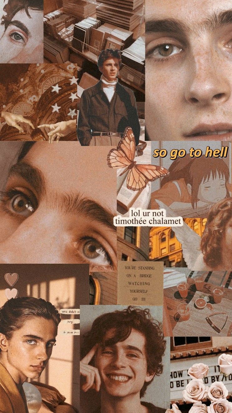 Timothee chalamet, Dream catcher