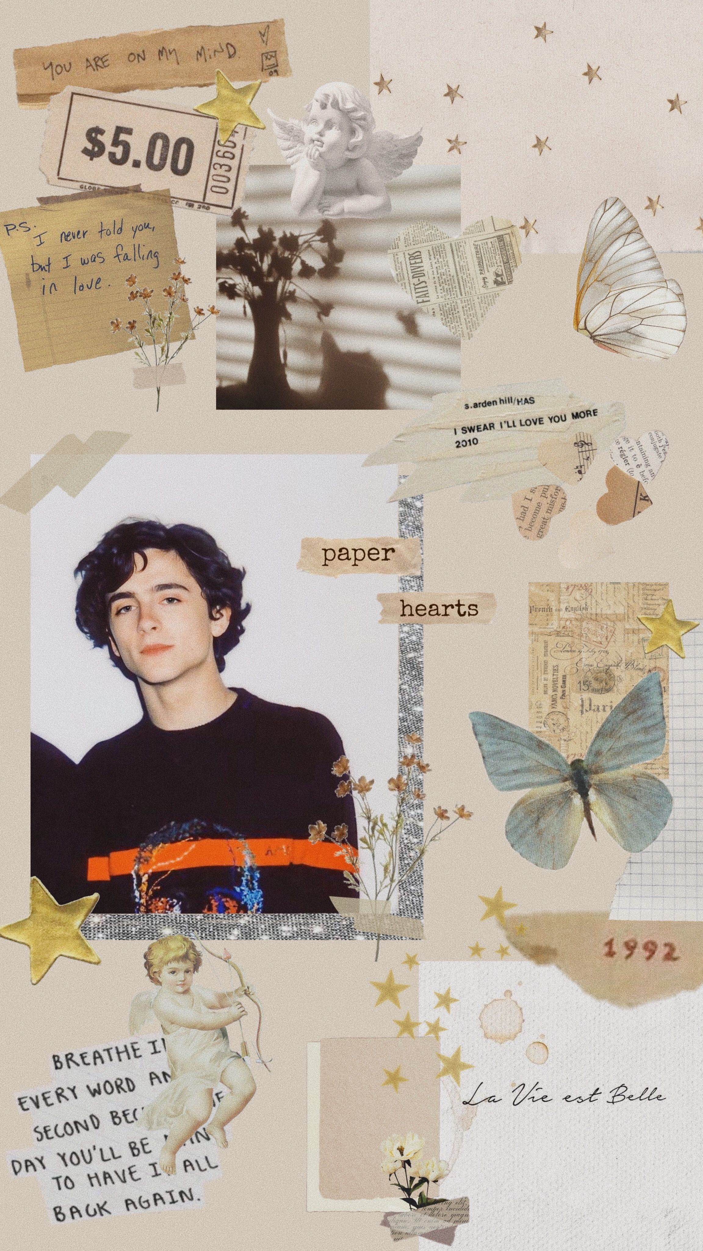 timothee chalamet wallpaper. Aesthetic
