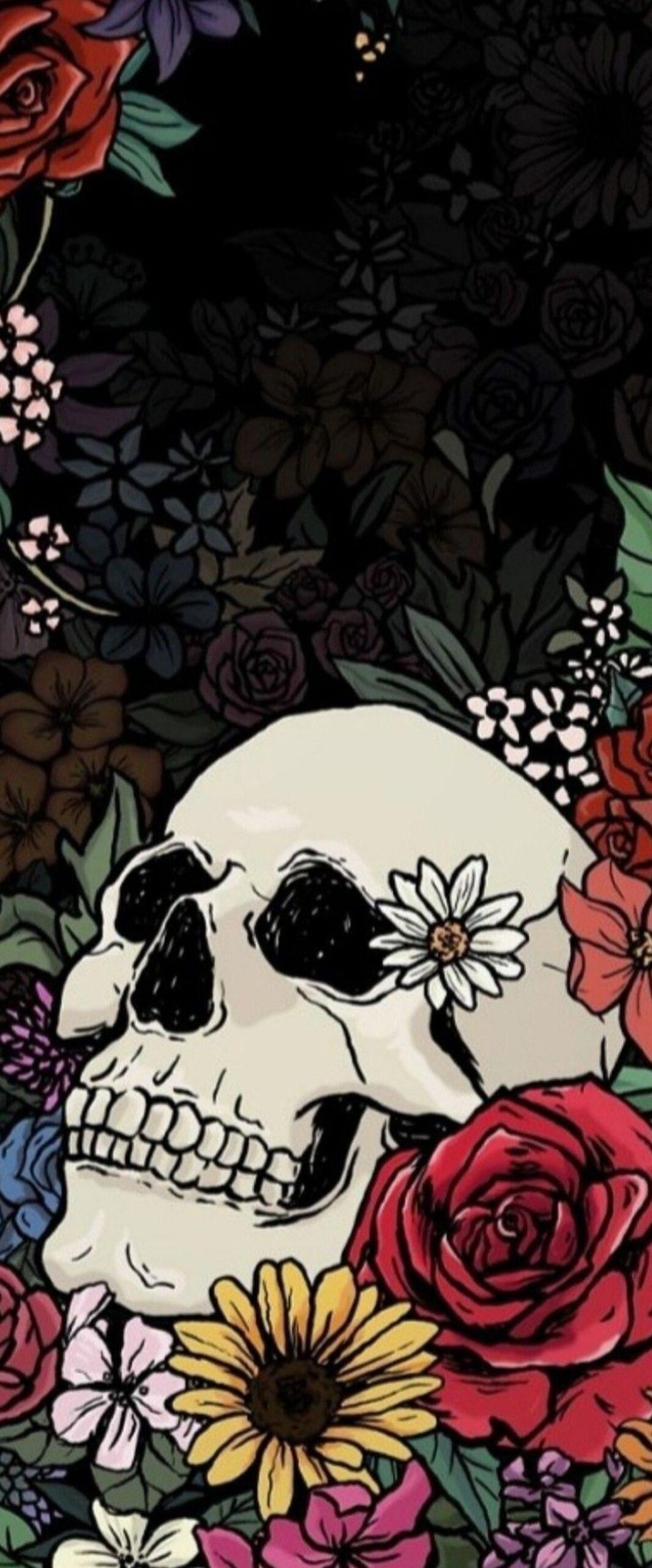 Cool Skull iPhone Wallpaper 4k