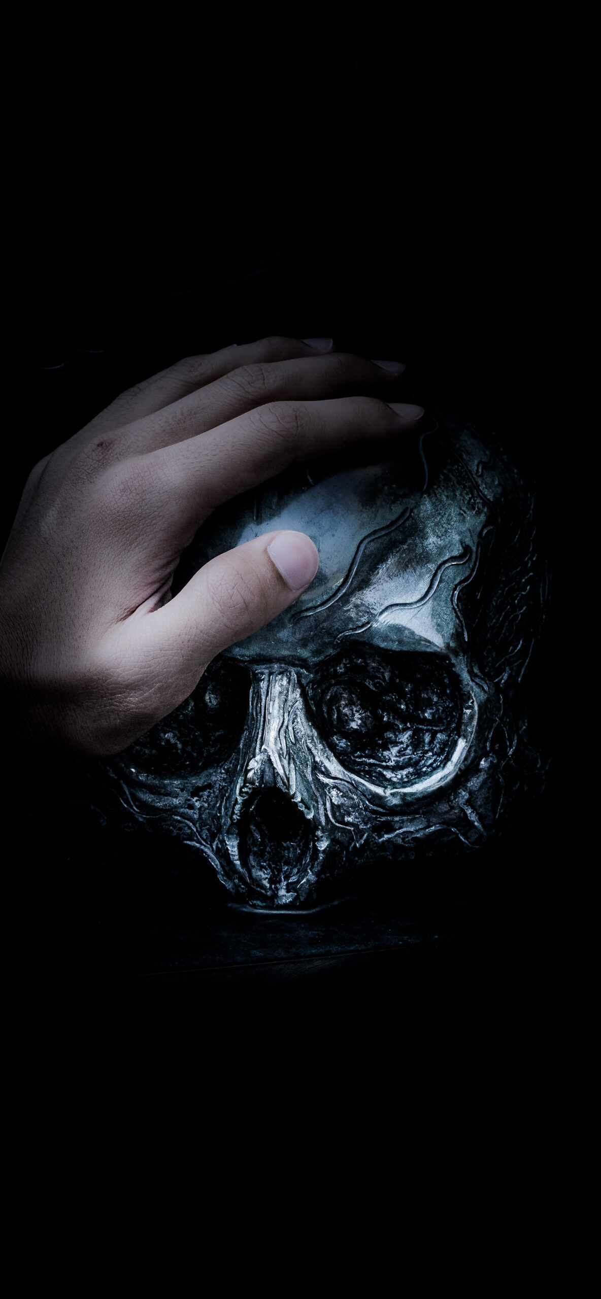 Skull Wallpaper for iPhone 11, Pro Max