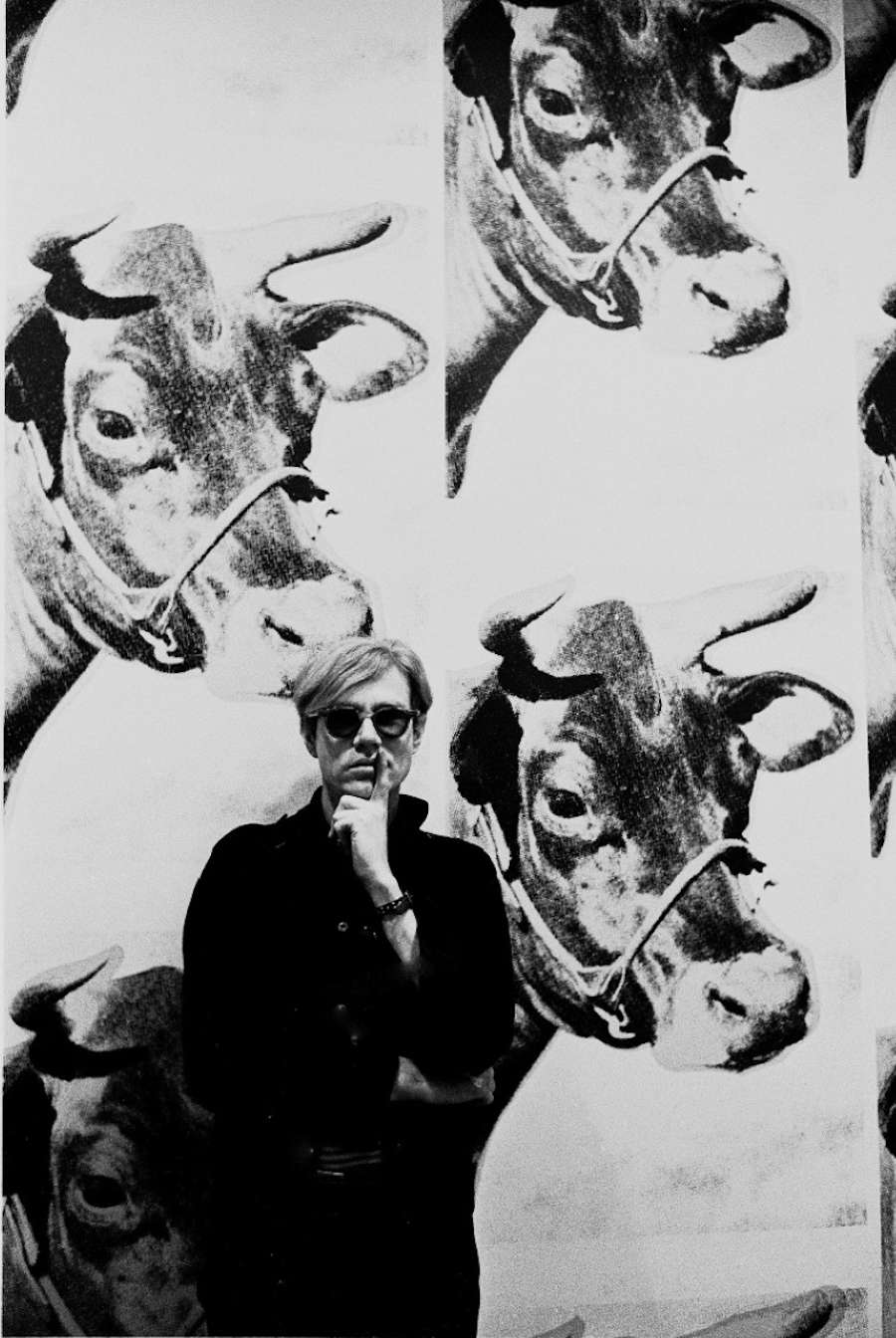 Steve Schapiro, Cow Wallpaper, Black