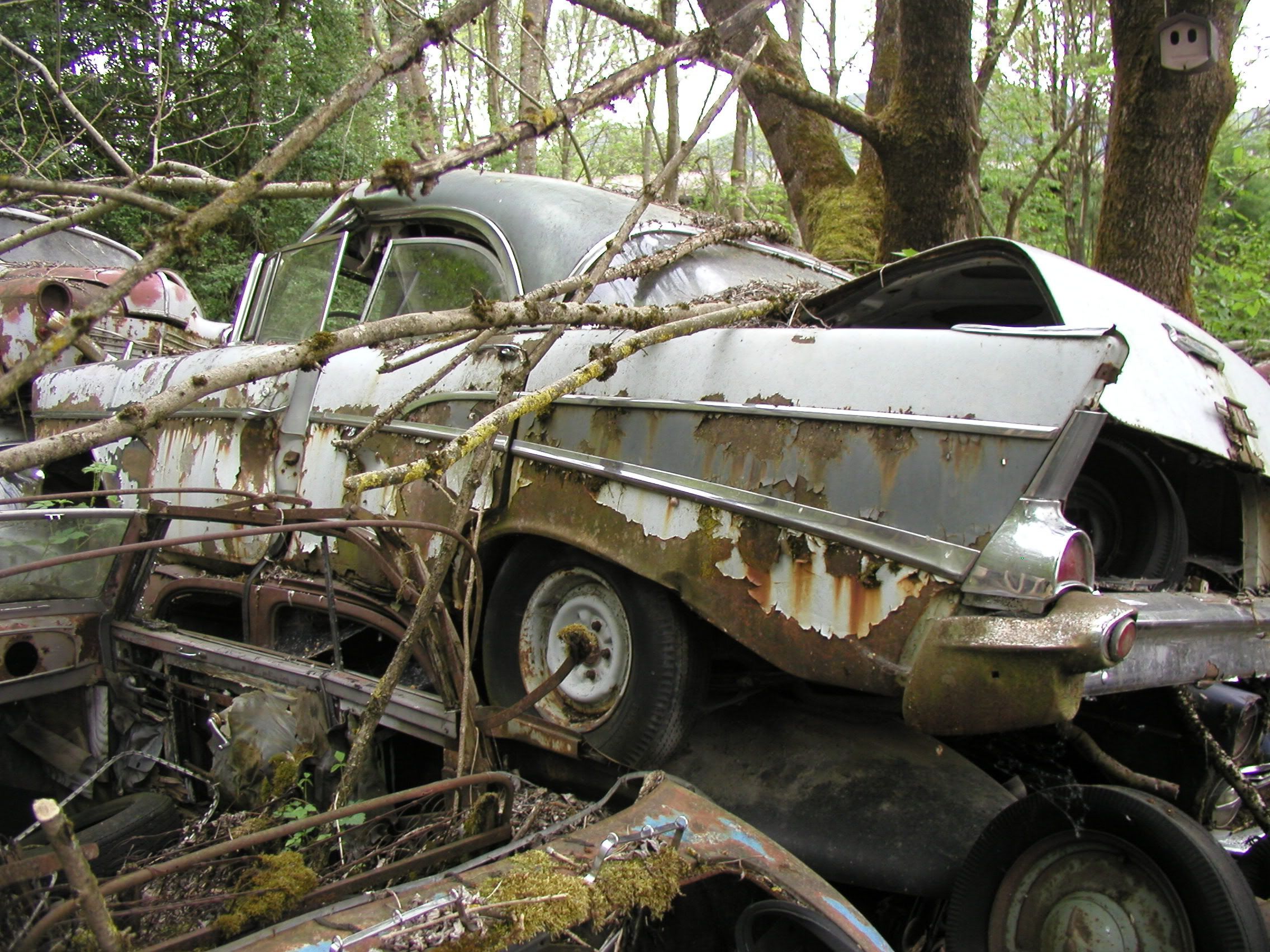 Abandoned cars, Junkyard cars