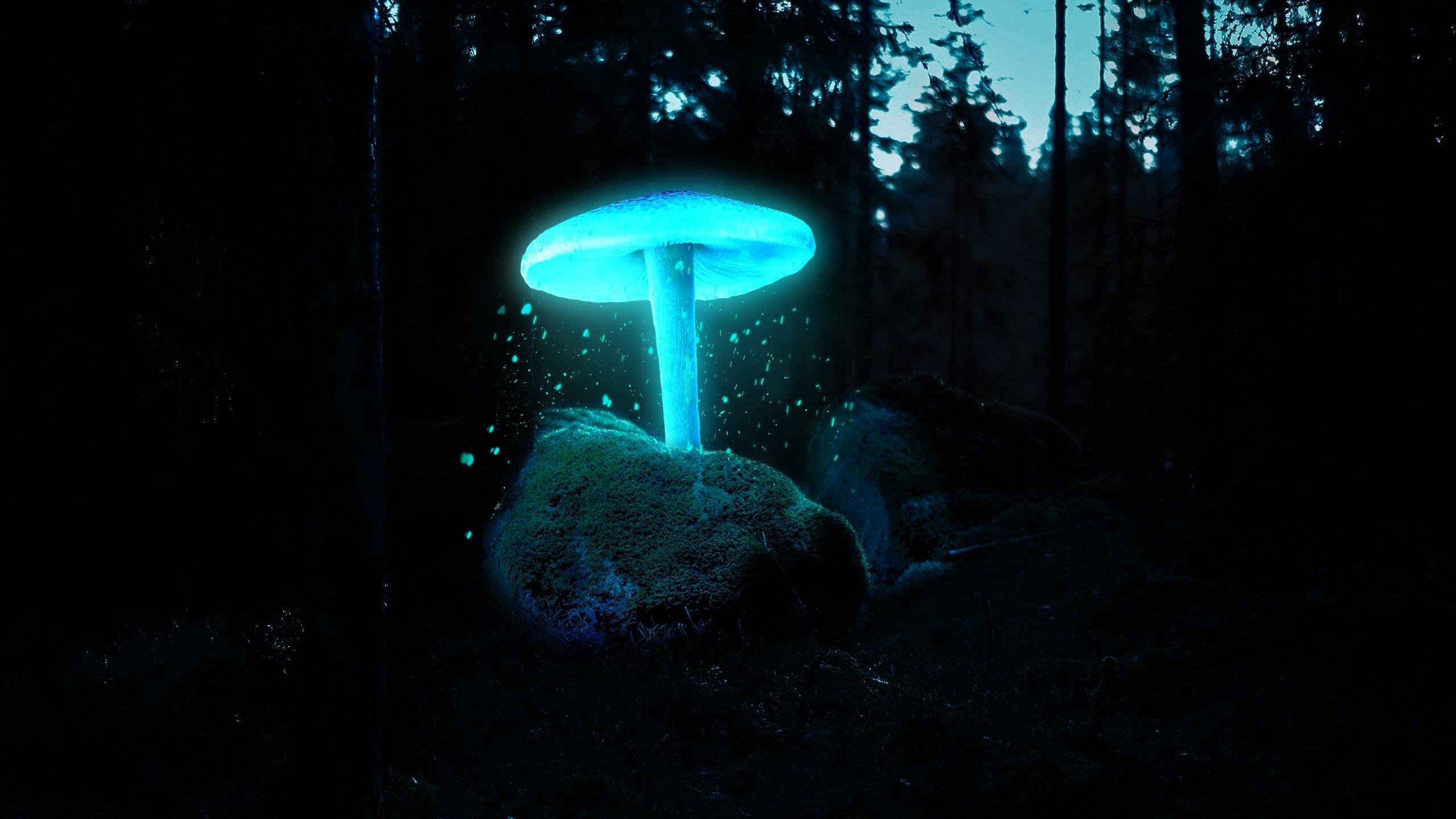 Neon Mushroom [2560X1440]